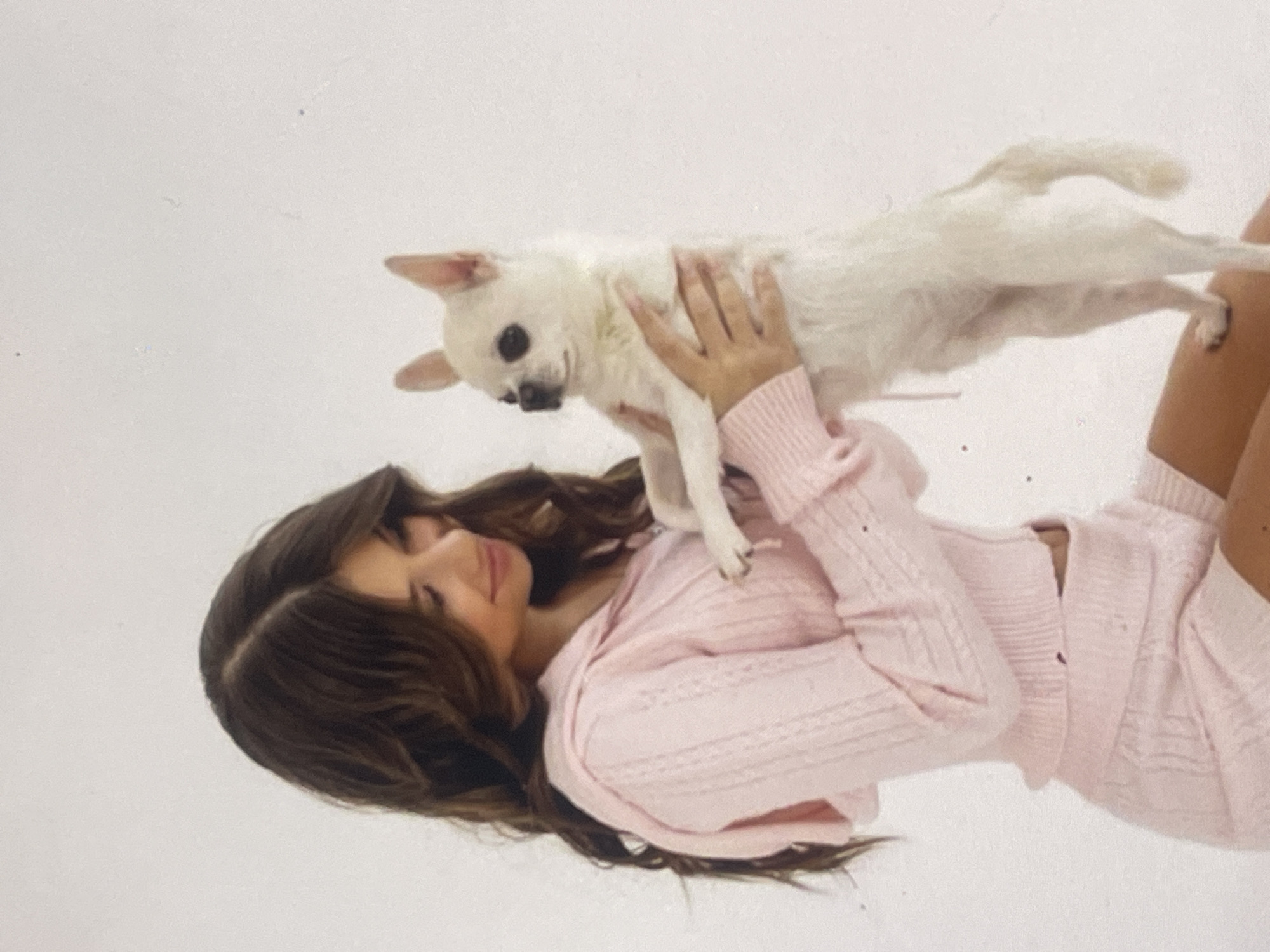 The image features a young woman affectionately interacting with a small white dog against a plain white background. The photograph is oriented vertically, depicting the woman as if she is lying down.
The woman has long, dark brown hair, parted in the middle. She is dressed in a light pink, possibly knitted or cable-knit, two-piece outfit, consisting of a long-sleeved top and shorts. Her face is turned upwards, looking towards the dog with a soft, gentle smile, indicating affection and contentment.
She is holding a small, white dog, likely a Chihuahua, above her. The dog has black eyes and a black nose, with alert, pointed ears. Its fur is white and appears short. The dog's body is suspended horizontally, held by the woman's hands, one of which is visible, adorned in the same pink knitwear. The dog's expression appears attentive or curious.
The scene is set against a stark, featureless white background, suggesting a studio environment or a very minimalist indoor setting. There are no other objects or details in the background. A few minor dark specks are visible on the white surface. The overall atmosphere conveyed is one of warmth, joy, and companionship between the woman and her pet. No text is visible within the image. While the location context is given as Poltava, Ukraine, there are no visual cues in the image to confirm this geographical location.