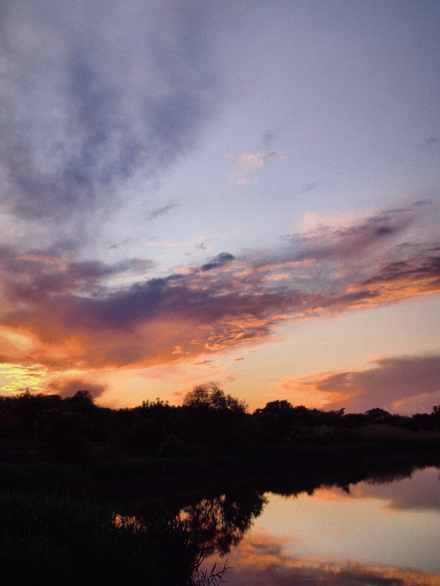 The image depicts a sunset over a body of water, likely a river or lake, in Ustyvytsia, Ukraine. The sky is filled with clouds displaying a spectrum of colors, transitioning from deep purples and blues at the top to oranges and reds closer to the horizon. A line of silhouetted trees and foliage stretches across the middle ground, separating the vibrant sky from the water below. The water's surface reflects the colors of the sunset, creating a mirrored effect.