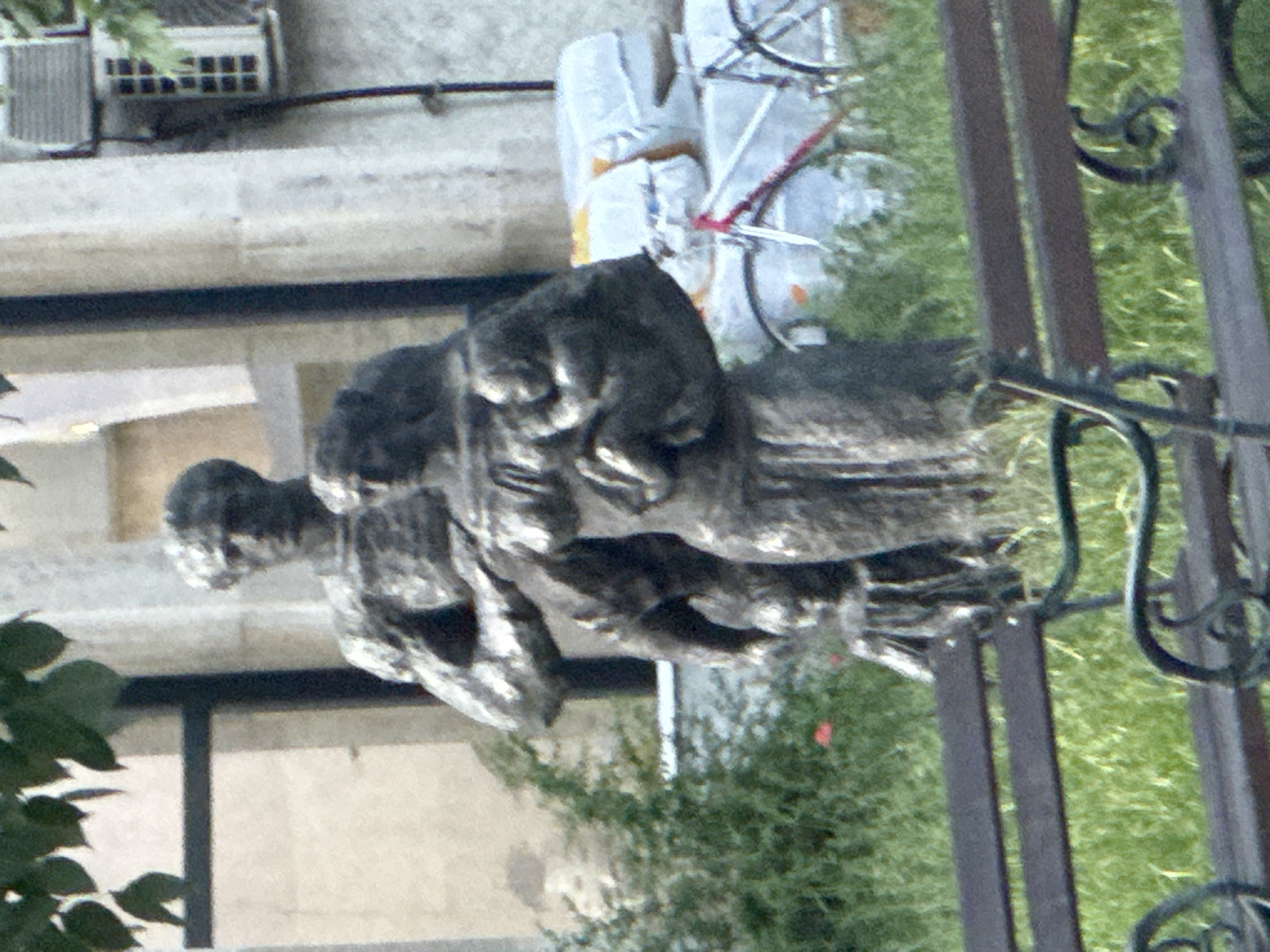 The image depicts a bronze sculpture of a man with two children on his back, located in Plovdiv, Bulgaria. The sculpture is set against a background of a building with an air conditioning unit, greenery, a bicycle leaned against the building, and a dark metal fence in the foreground.