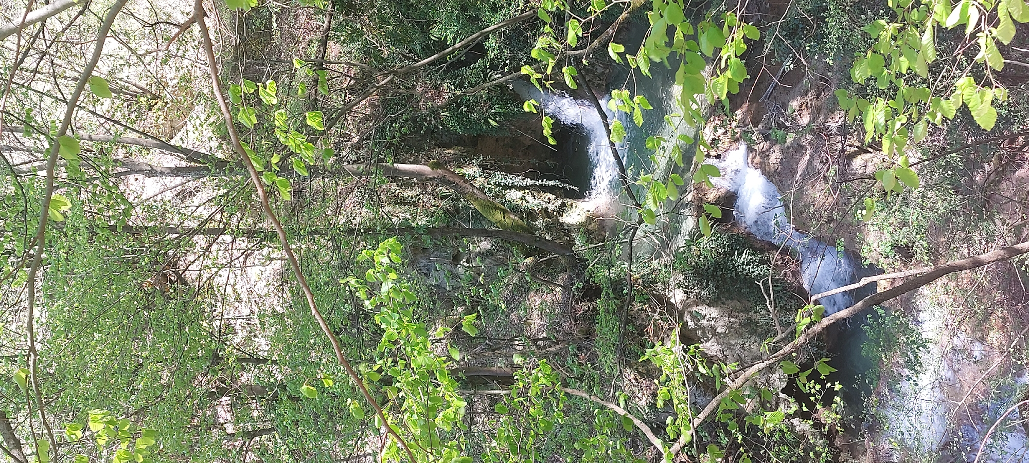 The image depicts a waterfall cascading through a lush, green forest. The scene is viewed from above, looking down upon the multiple tiers of the waterfall. Bright green foliage is visible in the foreground and throughout the surrounding area. The water is flowing rapidly, creating a white, frothy appearance. Branches from trees and bushes frame the waterfall. The image is taken at Бачковски манастир, Bulgaria.