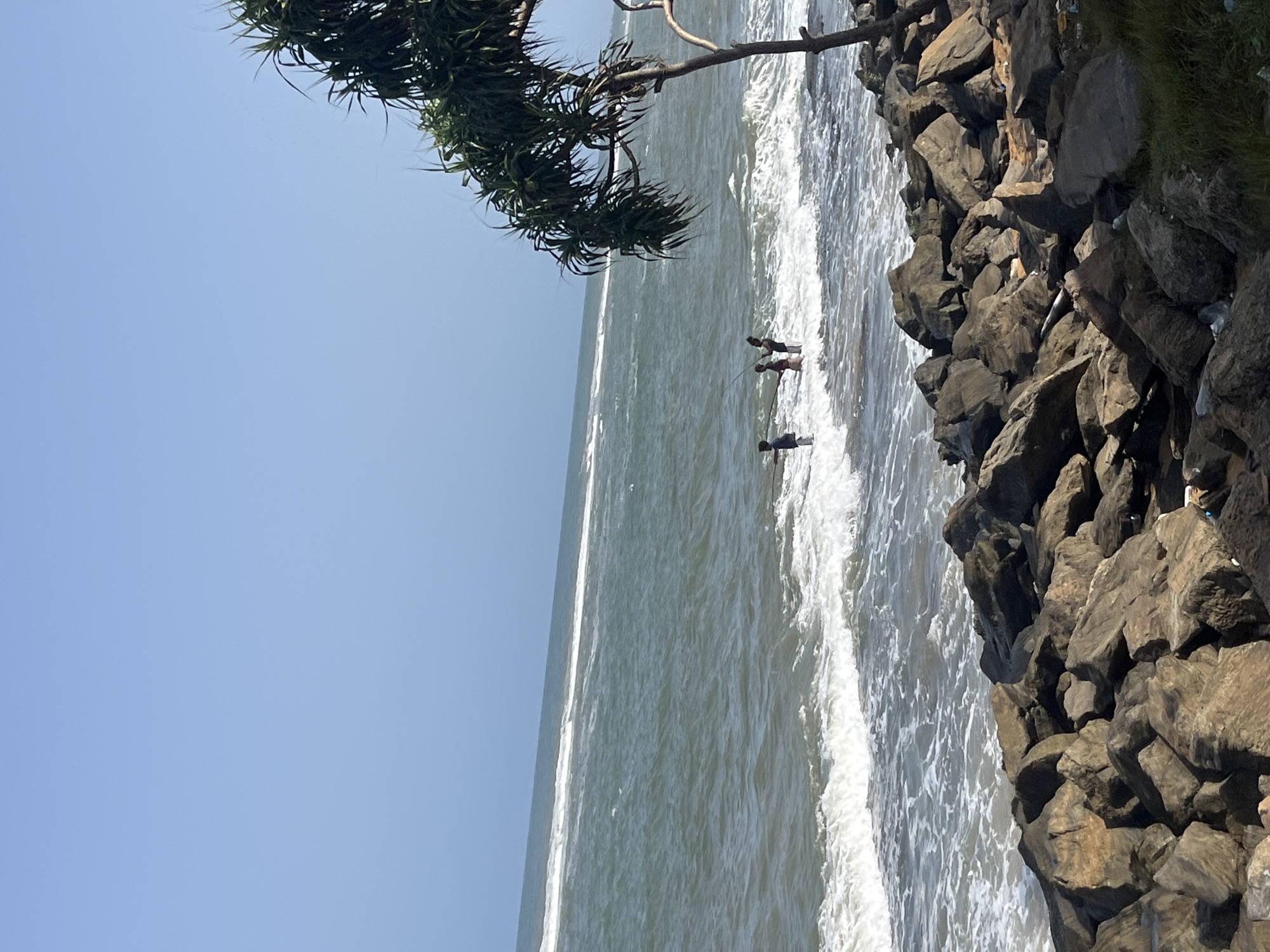 The image shows a rocky shoreline in Colombo, Sri Lanka, with the ocean in the background. Three individuals, appearing to be children or adolescents, are wading in the shallow water and fishing with rods. A large pandanus tree with spiky leaves is visible on the right side of the frame, its branches extending over the water. The sea is choppy with white waves breaking on the shore, and the sky is clear and blue. The foreground is dominated by large, weathered rocks of various sizes, with some debris scattered among them. The scene appears to be a natural coastal area within the city.