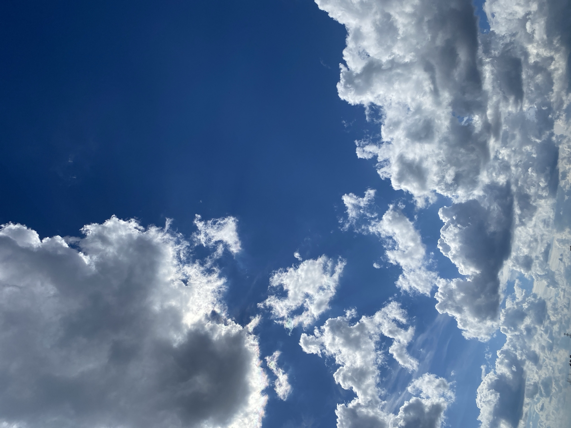 A low-angle, vertical photograph captures a vast expanse of a bright blue sky dotted with numerous clouds. The clouds vary in size and density, with some appearing bright white and fluffy, while others are larger and more gray, suggesting potential depth or thickness. The lighting indicates it is daytime, with sunlight illuminating the clouds from what appears to be the left side of the frame, creating highlights and shadows. The bottom portion of the image is slightly obscured by what could be the tops of distant trees or structures, suggesting an outdoor setting. There are no visible people or specific landmarks that would indicate the location within Chaikovsky, Russia.