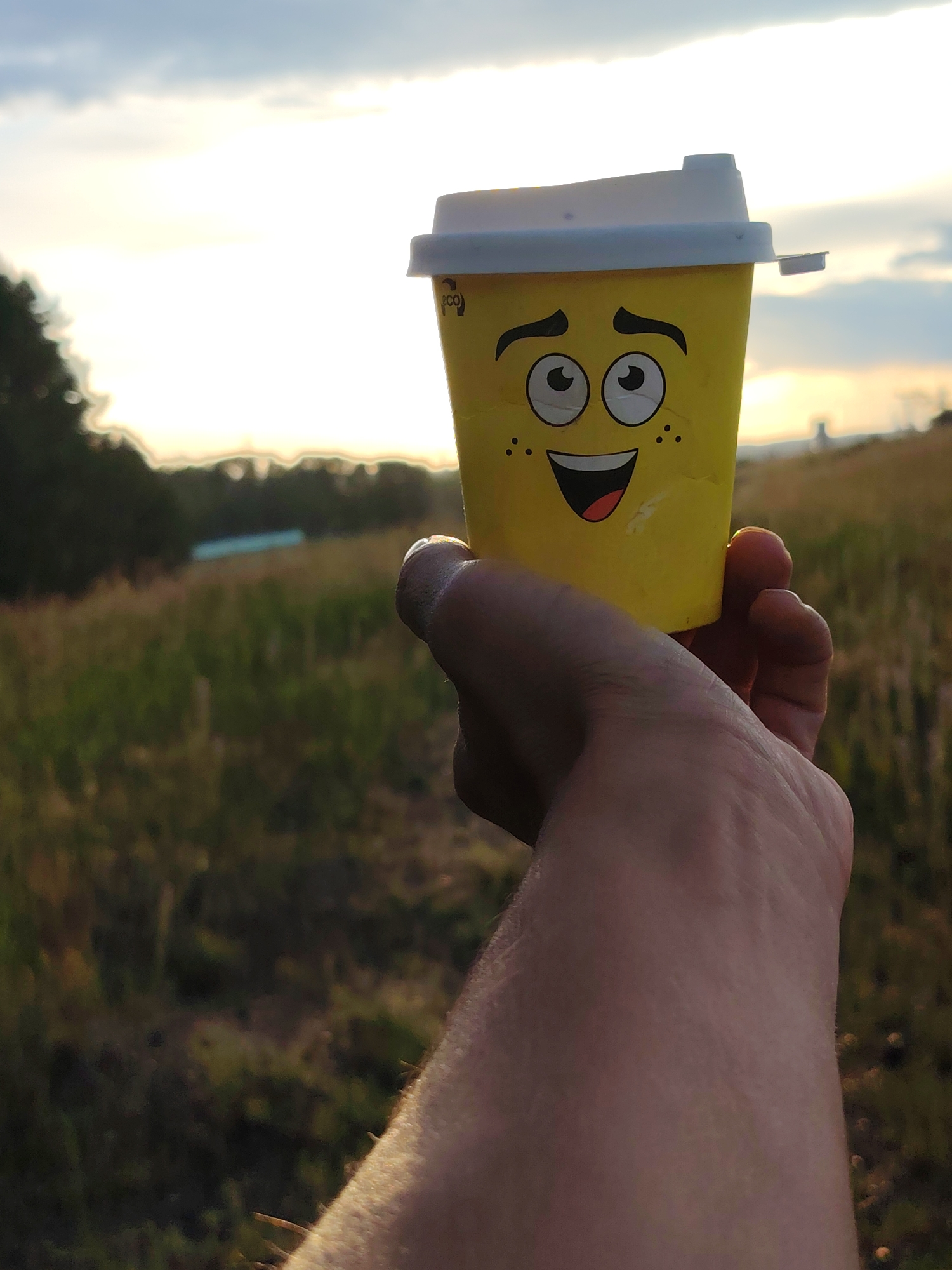In this medium shot, a person's hand is holding up a yellow paper coffee cup with a cartoon face printed on it. The cup has large, googly eyes, eyebrows, a wide smile, and freckles. The lid is white, with a small tab. The person's skin tone is visible on their hand and arm, which appears to be sun-kissed. The cup has a small "eco" logo on the side.
The background is a field of dry grass and some trees on the left. The sun is setting, casting a warm glow on the scene and creating a silhouette of distant structures on the horizon. The sky is cloudy with hues of orange and yellow, indicating either sunrise or sunset. The overall mood is cheerful and relaxed, amplified by the smiling cup. The photo appears to have been taken outdoors, in a natural setting, possibly in a park or rural area.
The image's context is Chaikovsky, Russia, though no specific landmarks are identifiable. The time of day is clearly sunset, given the lighting conditions. The weather appears to be fair, with the sun breaking through the clouds.
