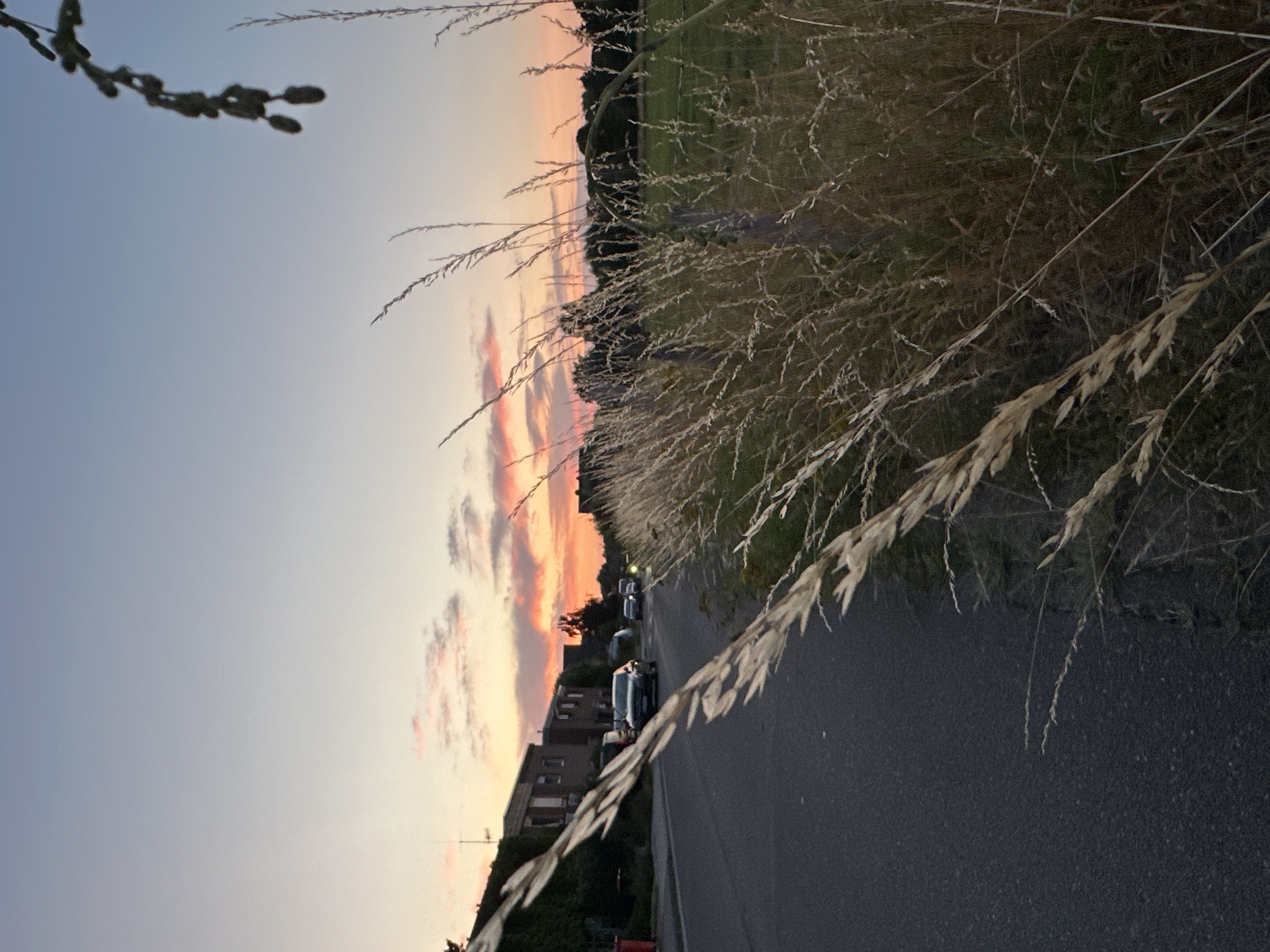 The image shows a street scene at dusk in Krefeld, Germany. The sky is a gradient of light blue to pink and orange, with scattered clouds illuminated by the setting sun. In the foreground, tall, dry grasses are in sharp focus, with some blurred by motion. To the left, a paved road runs alongside a row of brick houses with visible windows and dark roofs. A few cars are parked on the side of the road and one car is driving down the street. Beyond the road and houses, a grassy field is visible with trees in the distance. The overall lighting suggests it is late evening or early morning during golden hour.