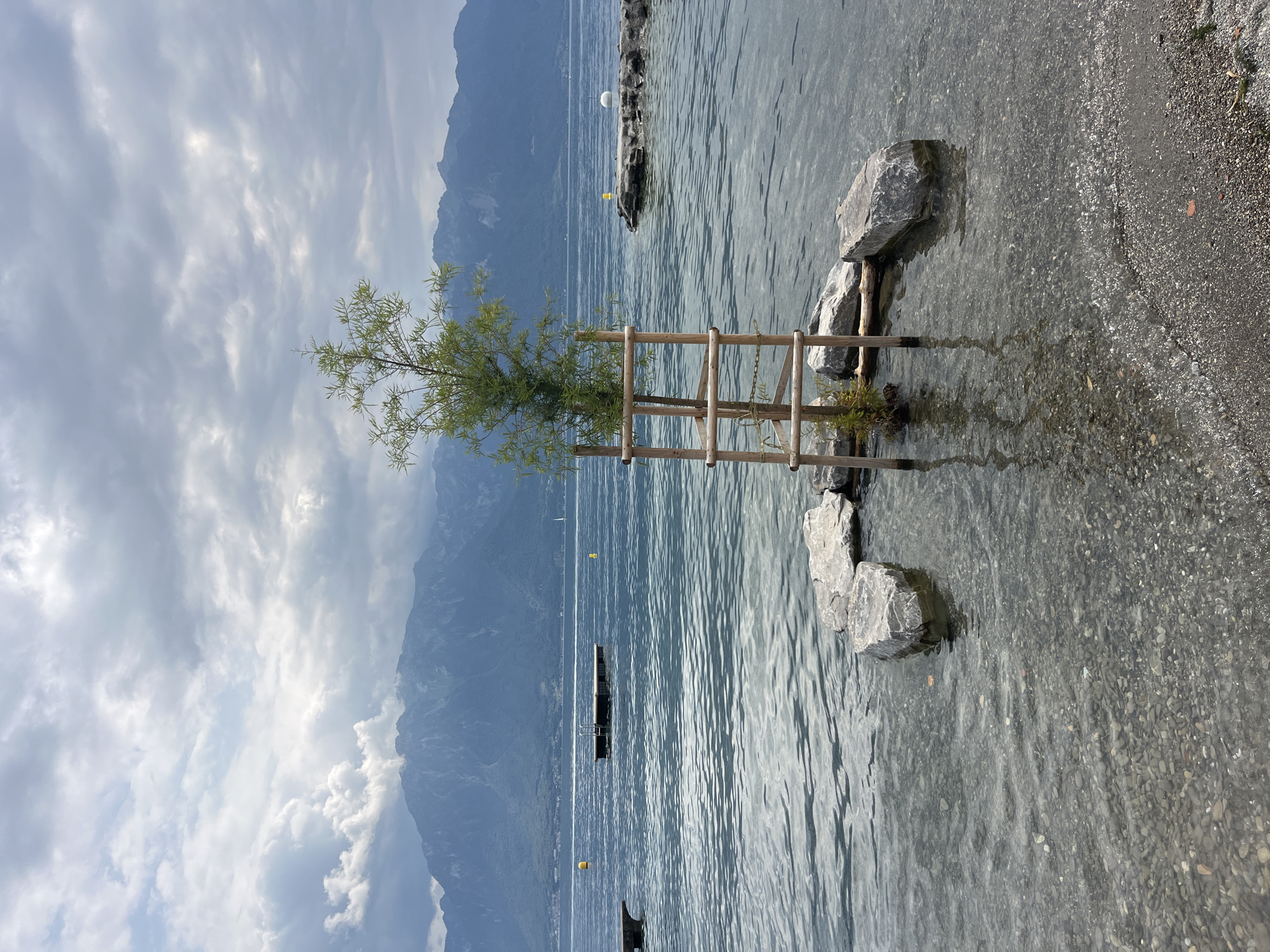 A young tree, supported by a wooden frame, is planted in the shallow waters of a lake in La Tour-de-Peilz, Switzerland. The tree stands on a bed of rocks, with some submerged in the clear, shallow water and others resting on the pebble-strewn shore. In the background, a calm lake stretches towards a range of majestic, hazy mountains under a cloudy sky. Several yellow buoys and a small floating dock with a ladder are visible on the water's surface. The overall scene depicts a serene, natural landscape with a touch of human intervention.