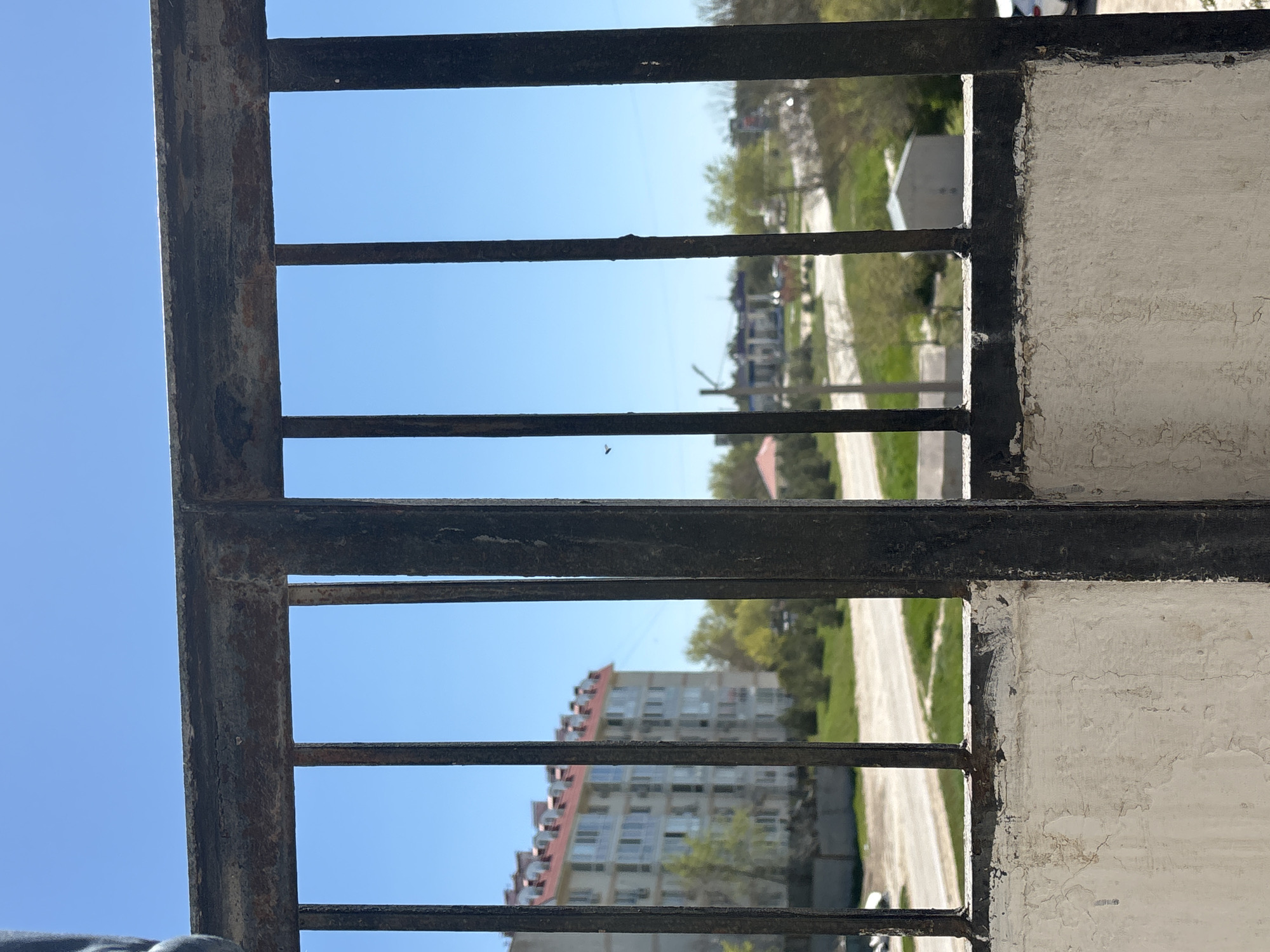 The image shows a view through a rusty metal gate or barred window. The foreground consists of vertical and horizontal metal bars, with a section of textured, white-painted wall visible on the right. Through the openings, a street scene unfolds on a sunny day. A multi-story building with a red roof is visible, along with green trees and patches of grass. A road is also apparent, suggesting a residential or suburban area. The clear blue sky is visible in the upper portion of the image. Given the request to locate the image in Chornomorskoe, Ukraine, one can infer the general geographic context of the scene. There are no people visible in the image.