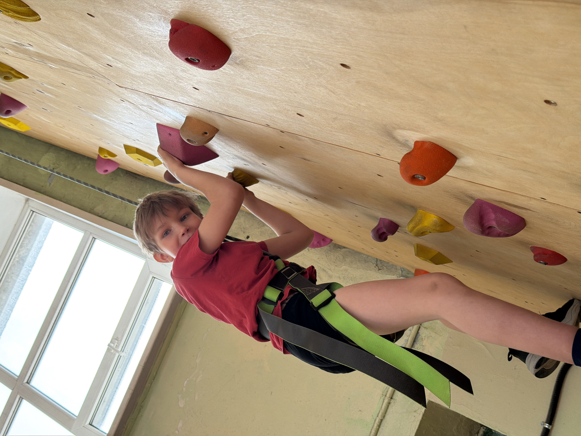 A fair-skinned boy is indoor rock climbing. He is wearing a red t-shirt, black shorts, and a climbing harness with lime green and grey straps. He is holding onto rock climbing holds of varying colors (red, orange, yellow, purple) mounted on a light-colored wooden wall. The boy is looking at the camera with a slight smile. To the left of the wall is a window with white frames. The wall appears to be in a building with light green walls. The city of Izhevsk, Russia is not discernible from the image.