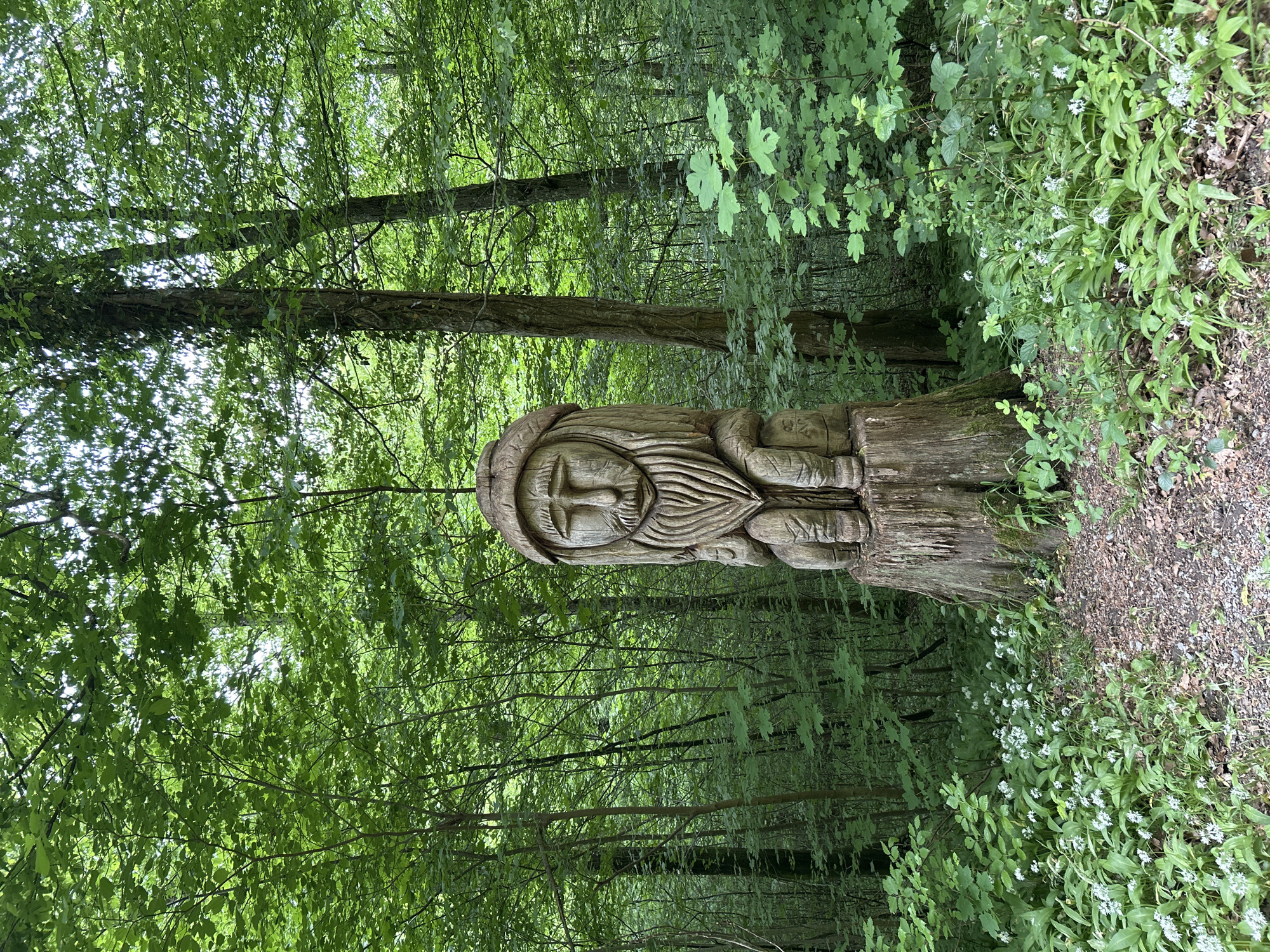 A vertical, eye-level outdoor shot shows a wood carving in a forest. The carving, situated slightly off-center, is of a bearded face with a hat, mounted on a tree stump. The surrounding forest is dense with green foliage, and ground cover with white flowers can be seen. The background is filled with trees and leaves, creating a deep green backdrop. The location is not specified.