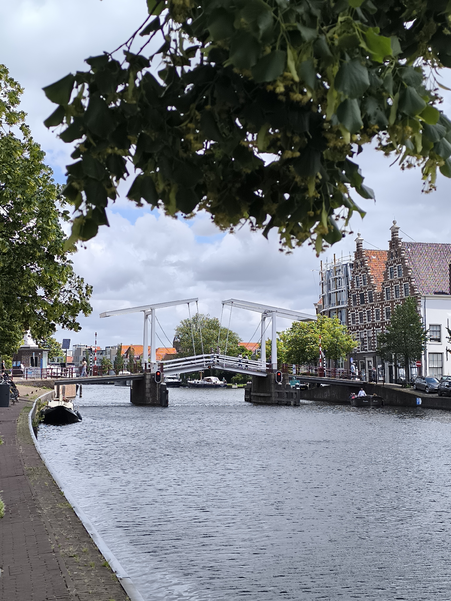 This is a vertical, eye-level, medium shot of a drawbridge over a canal in Haarlem, Netherlands. The drawbridge is white and open, with one side raised. The canal is dark blue and calm. On the left side of the canal is a brick walkway with a few people walking and a bicycle parked. Further down the walkway are some buildings with windows and doors. On the right side of the canal are more buildings with traditional Dutch architecture, some with red tiled roofs. There are trees and cars parked along the right bank. A few boats are visible in the canal and along the banks. In the foreground, there are some tree branches with green leaves and small yellow flowers hanging down, partially obscuring the view. The sky is cloudy.