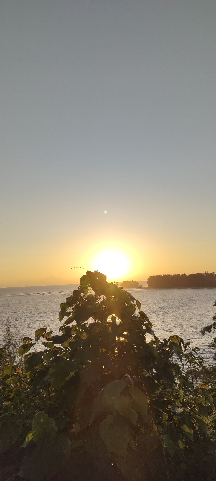 The image captures a serene sunset over a body of water, likely a sea or ocean, from an elevated viewpoint. The sun, a bright, luminous disc, is positioned low on the horizon, casting a warm golden glow across the sky and the water's surface. The sky transitions from a pale blue at the top to a vibrant yellow and orange near the horizon. A small, lighter-colored circle, possibly the moon, is visible in the sky above and slightly to the left of the sun.
In the foreground, a lush green tree with large leaves partially obscures the view of the sunset and the water. Sunlight filters through the leaves, creating a dappled effect. The water appears calm with gentle ripples reflecting the sunset's colors. In the distance, a tree-lined coastline or island is silhouetted against the bright sky. The overall scene is tranquil and picturesque, evoking a sense of peace and natural beauty.
The specific location in Crakmong, Indonesia, is not directly identifiable from the visual information provided in the image alone.