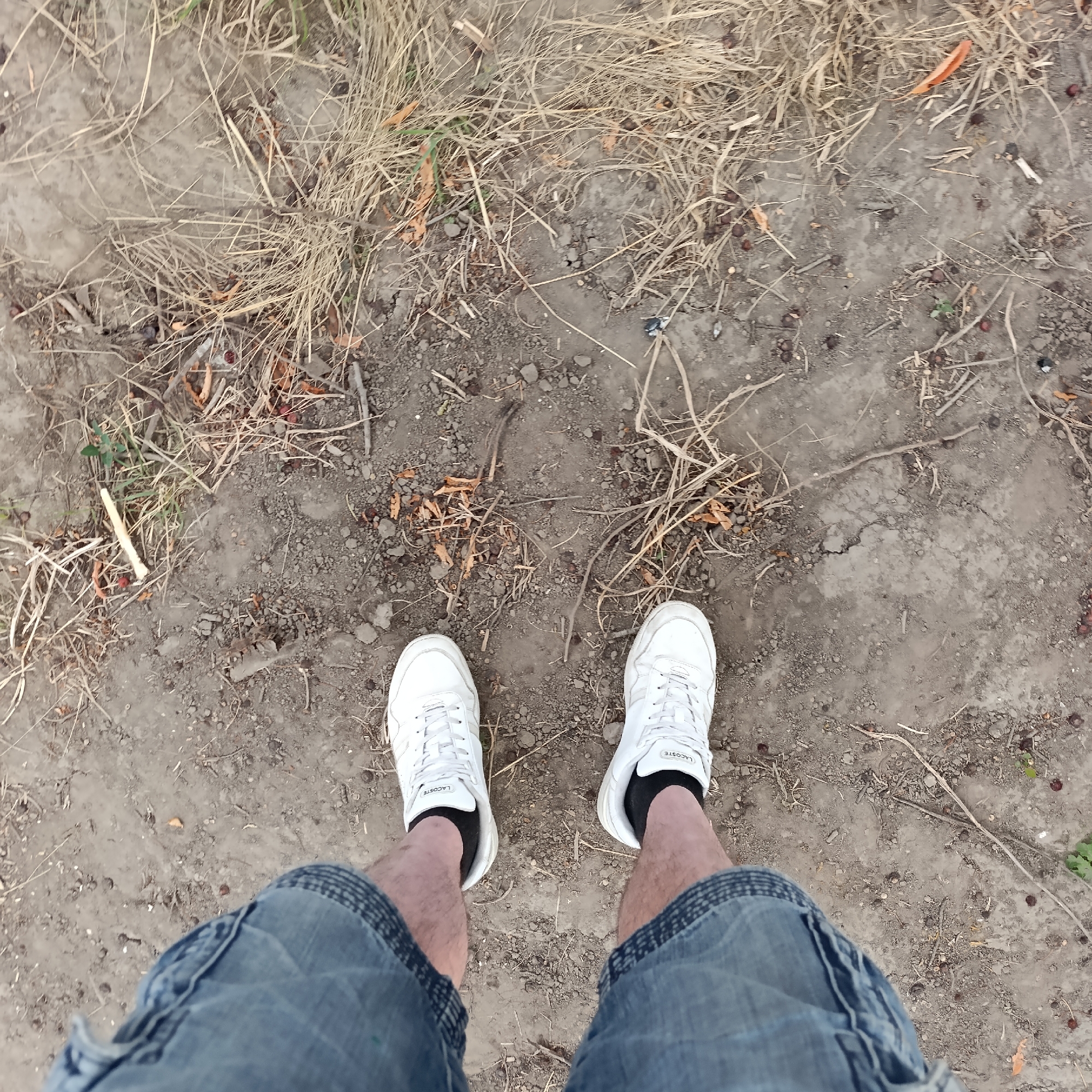 The image shows a first-person perspective of a person standing on a dirt path covered with dry grass and small stones. The person is wearing blue denim shorts and white lace-up sneakers with black socks. The ground appears to be uneven and dry, with some scattered debris like twigs and what appear to be small, dark berries or seeds. The environment suggests an outdoor, possibly rural or park-like setting. The image does not provide any specific identifiable landmarks or context related to the city of Ladyzhyn, Ukraine, beyond the user's prompt.