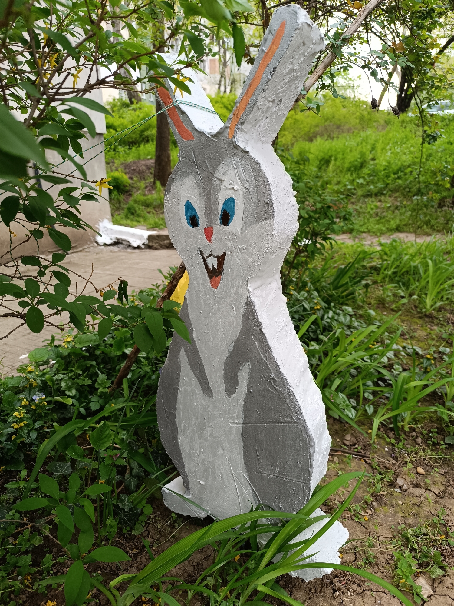 The central focus of the image is a whimsical, hand-painted rabbit garden ornament, standing upright amidst a verdant outdoor setting. The rabbit sculpture appears to be made from a textured, solid material, possibly concrete or plaster, and is painted in shades of grey and white. Its face features large, round blue eyes, a small red nose, and an open mouth with a playful red tongue sticking out, giving it a cheerful and cartoonish expression. The inner parts of its long ears are highlighted with an orange color, and a thin green and white string is tied around its upper head, likely for stabilization or decoration.
The rabbit is situated within a bed of lush greenery, including various types of grass, leafy ground cover, and small plants with delicate yellow flowers. The ground is a mix of soil, some areas appearing dry and cracked, contrasting with the vibrant foliage. In the background, a light-colored building is partially visible to the left, and the trunk of a tree can be seen further back. The scene depicts a garden or yard environment. The lighting indicates daytime, likely under overcast conditions or in a shaded area, as the light is soft and diffused. There is no visible text in the image. The overall impression is one of a charming, handmade decoration nestled within a spring or summer garden in Pleven, Bulgaria.