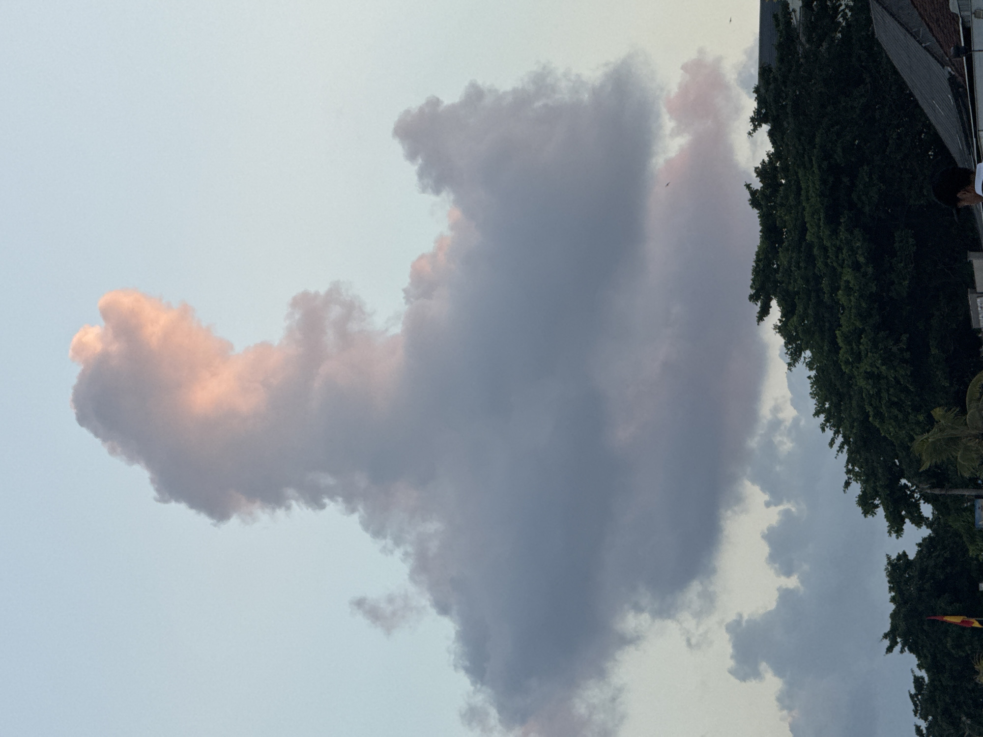 In Kuta, Indonesia, at dusk, a dramatic cloud formation dominates the sky, its towering shape reminiscent of a mythical creature or a human figure in profile. The cloud is illuminated by the setting sun, casting a soft pink glow on its upper portions, while the lower sections are a deep gray, indicating depth and mass. Below the cloud, silhouetted against the sky, is a dense line of lush green trees, characteristic of the tropical environment of Kuta. Peeking above the trees are the rooftops of buildings, suggesting an urban or semi-urban setting. A sliver of a red and yellow flag is visible on the left, possibly indicating a national or regional symbol. A few small birds are present in the sky, adding a sense of scale and life to the scene. The overall impression is one of natural beauty and tranquility, with the cloud formation as the focal point.