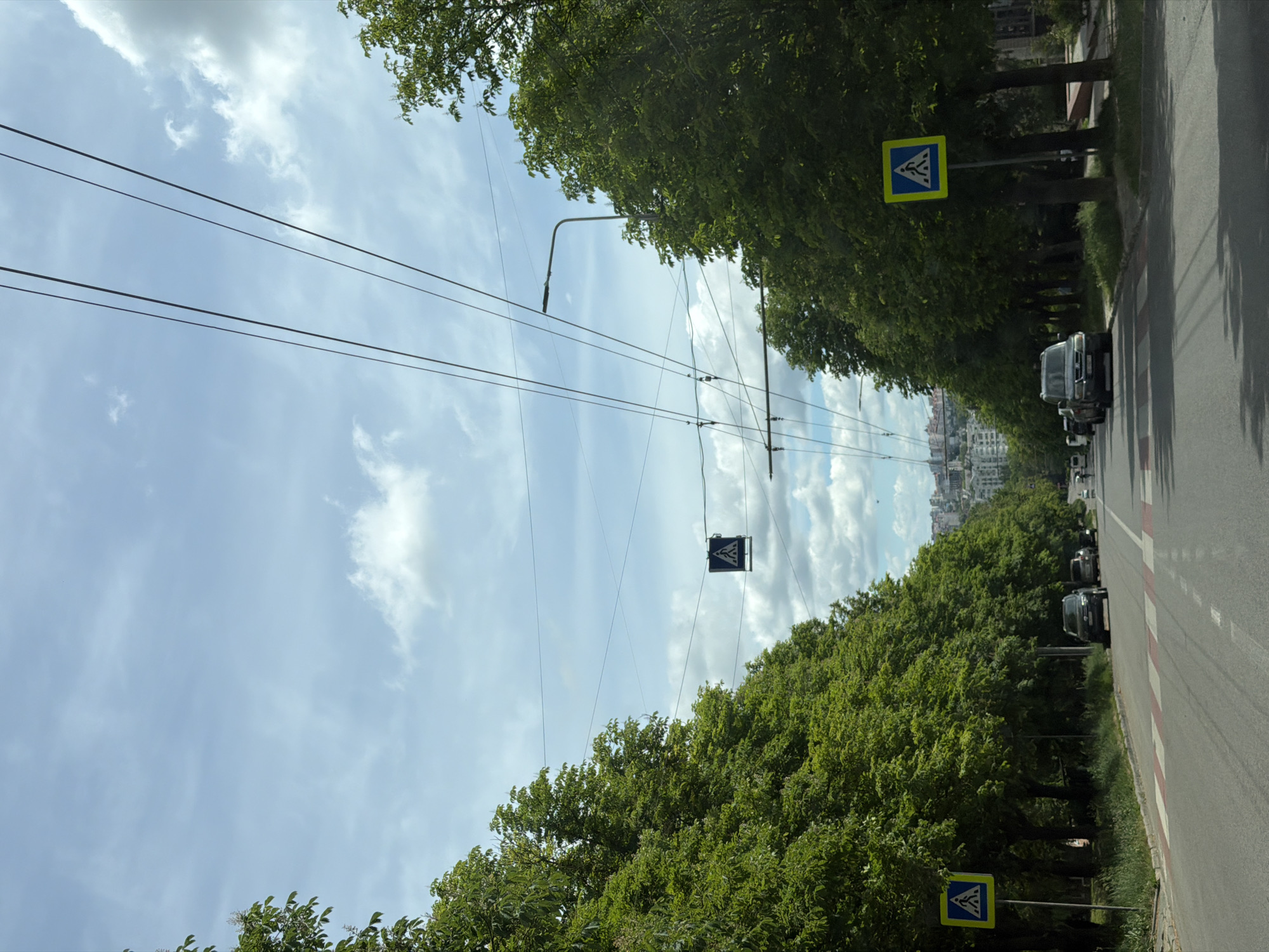 The image depicts a street view in Ternopil, Ukraine, characterized by a tree-lined avenue under a partly cloudy sky. Overhead power lines crisscross the space between the trees. A pedestrian crossing sign is visible on both sides of the road, indicating pedestrian access. Cars are parked along the street. The perspective suggests the photo was taken from a vehicle, with the road receding into the distance towards the city skyline.