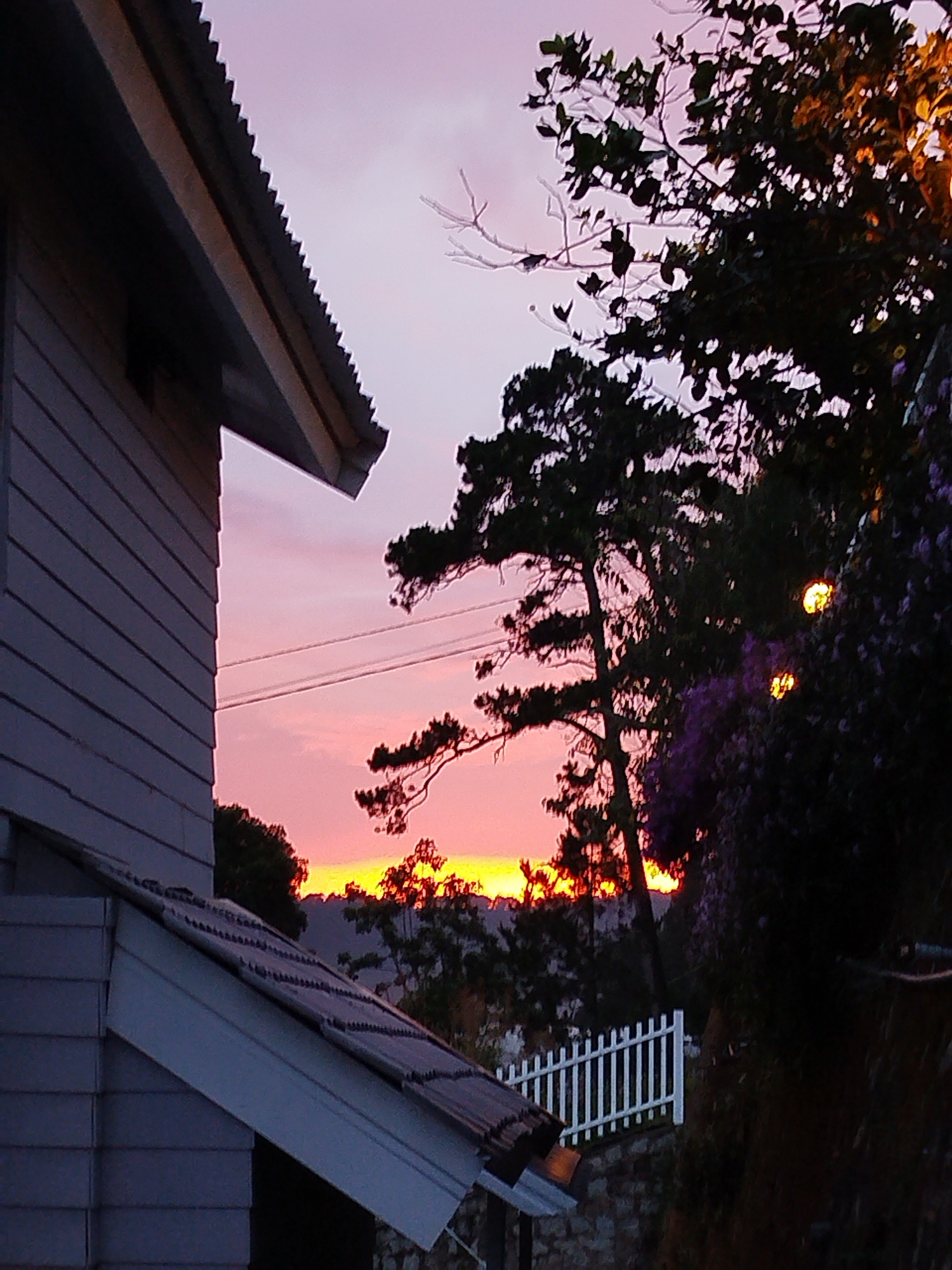 The image captures a twilight scene in Da Lat, Vietnam. The sky is a gradient of purple and pink fading into a golden horizon. On the left, the corner of a light-colored wooden house is visible, showing horizontal planks and a tiled roof. To the right, a dark silhouette of trees frames the sky, with hints of purple flowers and glowing lights interspersed. A white picket fence stands partially obscured amidst the foliage. Two black electrical wires cross the middle-ground.
