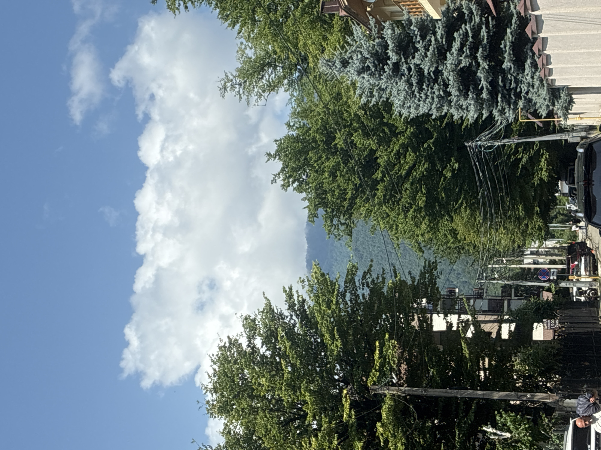 This image depicts a street scene in Estosadok, Russia, characterized by lush greenery and mountainous terrain in the background. On the left side of the street, a multi-story building with white and brown accents is visible, partially obscured by large, leafy green trees. A tall wooden utility pole with numerous wires runs along the side of the road. In the foreground, a man is walking from left to right, carrying a dark bag over his shoulder. He is wearing a light-colored shirt and appears to be bald. A black metal fence runs along the right side of the street, topped with decorative conical elements. A blue spruce tree stands prominently behind the fence. Several parked cars are visible further down the street, and more trees and buildings extend into the distance. The sky above is a bright blue with scattered white clouds. The overall impression is that of a sunny day in a semi-urban, mountainous region.