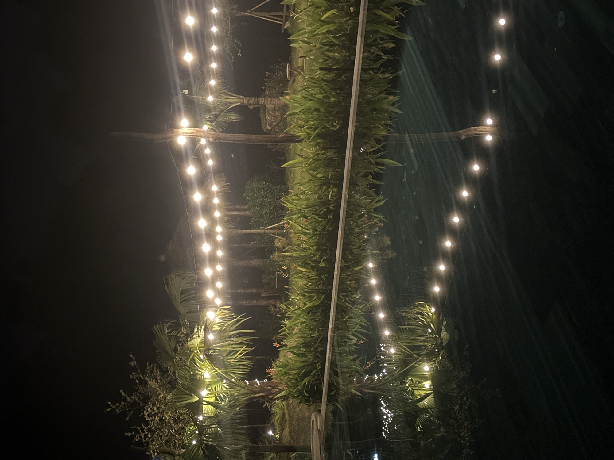 This image depicts a nighttime scene in a garden area, possibly near a swimming pool or reflective body of water. A string of warm-toned fairy lights is draped across the scene, illuminating palm trees and lush green foliage. The lights are reflected in the water, creating a symmetrical effect. In the background, there are glimpses of thatched-roof structures and wooden posts, suggesting an outdoor gathering or resort setting. The environment is dark, with the artificial lighting being the primary source of illumination. There are no people visible in the image. The location is identified as Nam Hoa Lư Ward, Vietnam.