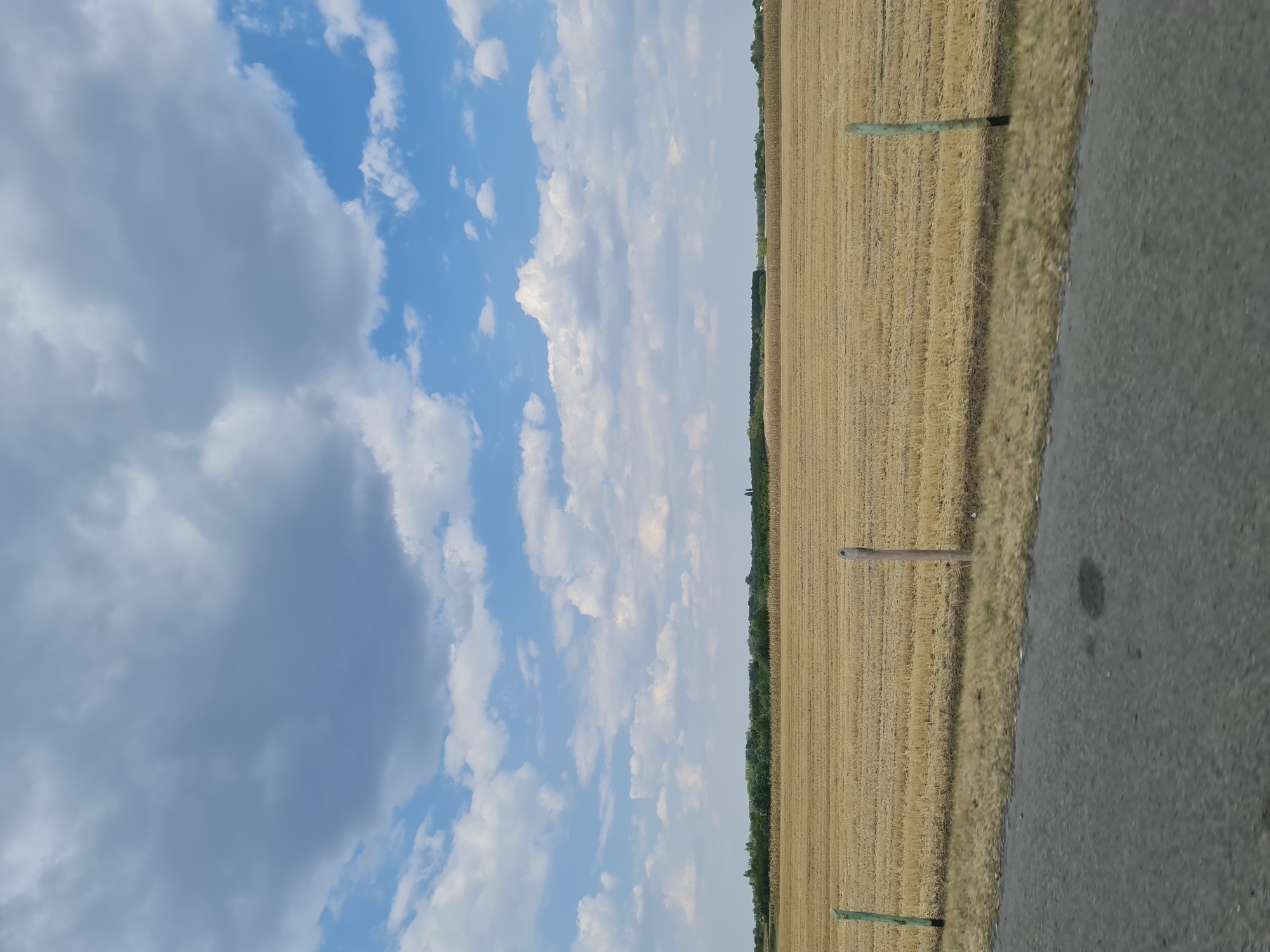 This image depicts a rural landscape with a harvested field of dry, golden stubble. Two wooden fence posts are visible in the foreground, one on the left and one on the right, marking the boundary of the field. A dark asphalt road runs along the bottom of the image, with a patch of dry grass between the road and the field. In the background, a dense line of green trees stretches across the horizon, separating the field from the sky. The sky is a mix of bright blue and large, dramatic grey clouds, suggesting fair weather with a possibility of rain. The overall scene is tranquil and typical of agricultural land in the Hungarian countryside.