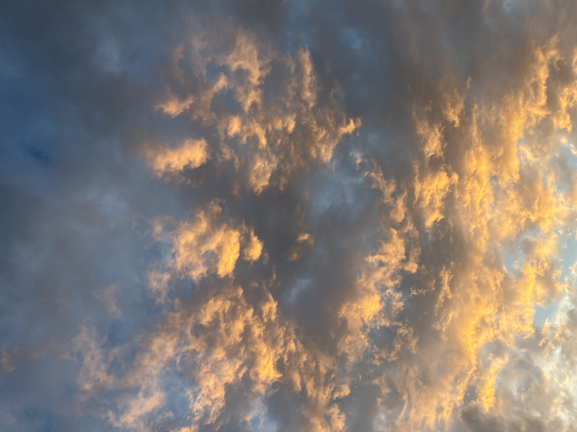 The image displays a cloudy sky above the city of Sofia, Bulgaria. The upper third of the frame shows a dark blue-grey sky with diffuse, dark grey cloud formations. Progressing downwards, the sky transitions to lighter grey-blue tones. Numerous fragmented clouds, consistent with cumulus types, are present across the entire frame. Many of these clouds, particularly in the central and lower portions, are illuminated with intense orange and yellow hues by an off-frame, low-angle light source, indicating either sunrise or sunset. The clouds in the upper section remain largely dark grey, blending with the deeper sky. No people, objects, or specific actions are depicted within the visible cloudscape.