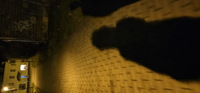 A dimly lit street at night features a building with illuminated windows in the distance. Graffiti adorns a nearby wall. A patterned brick pathway leads into darkness. The prominent shadow of a person stretches across the pathway, likely cast by an unseen light source. The scene is grainy and appears to have been captured with a low-quality camera or under poor lighting conditions.