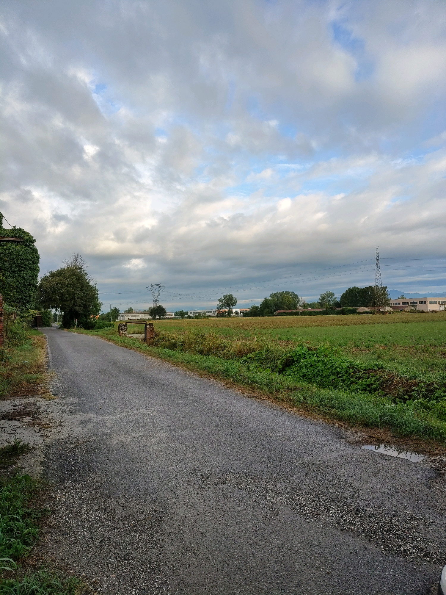 An outdoor, medium-shot, eye-level, horizontal photograph captures a paved road in a rural setting under a cloudy sky. The road surface is gray and textured with small pebbles, wet in places, indicating recent rain. On the left side of the road, a brick wall covered in dense green ivy marks the edge of a property. Beyond the wall, a large tree with a broad canopy arches over the road. To the right of the road, a green field stretches into the distance, with patchy dry grass and thick green vegetation closer to the road. In the middle ground, a tall, metallic electricity pylon stands out against the horizon. Further back, a line of buildings with white facades and dark roofs is visible, interspersed with trees. The sky above is filled with a mix of gray and white clouds, with patches of blue sky peeking through, suggesting an overcast day with intermittent sunshine. The scene appears tranquil and undeveloped.