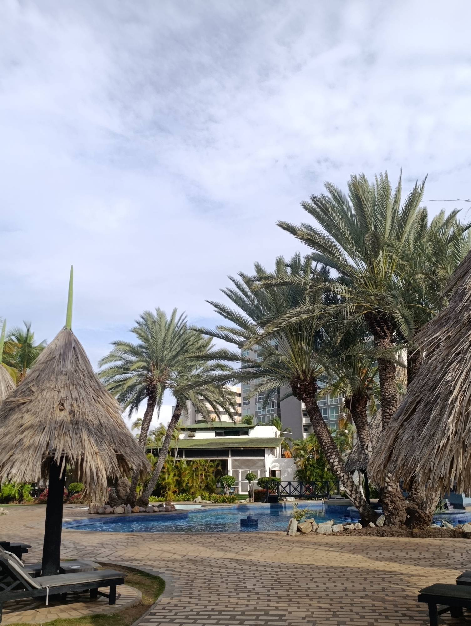 This image captures a serene resort pool area under a partially cloudy daytime sky. The setting is tropical, characterized by abundant palm trees and resort architecture.
In the foreground, a spacious patio paved with light-colored rectangular bricks stretches across the lower portion of the frame. To the left, a dark wooden lounge chair with a light cushion is partially visible beneath a large thatch umbrella (palapa), which has a distinctive green, spire-like growth extending from its peak. Another thatch umbrella is partially visible on the far right.
The mid-ground features an irregularly shaped swimming pool with bright blue tiling, surrounded by rock landscaping. Beyond the pool, numerous mature palm trees with thick, textured trunks and dense green fronds rise prominently, some leaning over the pool area. Their fronds create a lush canopy. A small, dark bridge crosses over a section of the pool.
In the background, a modern, multi-story building, likely a hotel or resort, stands tall with numerous windows and a light-colored facade. Part of another building with a green roof is also visible amidst the dense, green tropical foliage that lines the pool area. The sky above is a pale blue with scattered, wispy white clouds, suggesting pleasant weather.
No people or specific activities are visible, conveying a tranquil and inviting atmosphere typical of a vacation destination. There is no visible text in the image. The scene suggests a relaxed leisure environment in a tropical climate, consistent with the location of Porlamar, Venezuela.