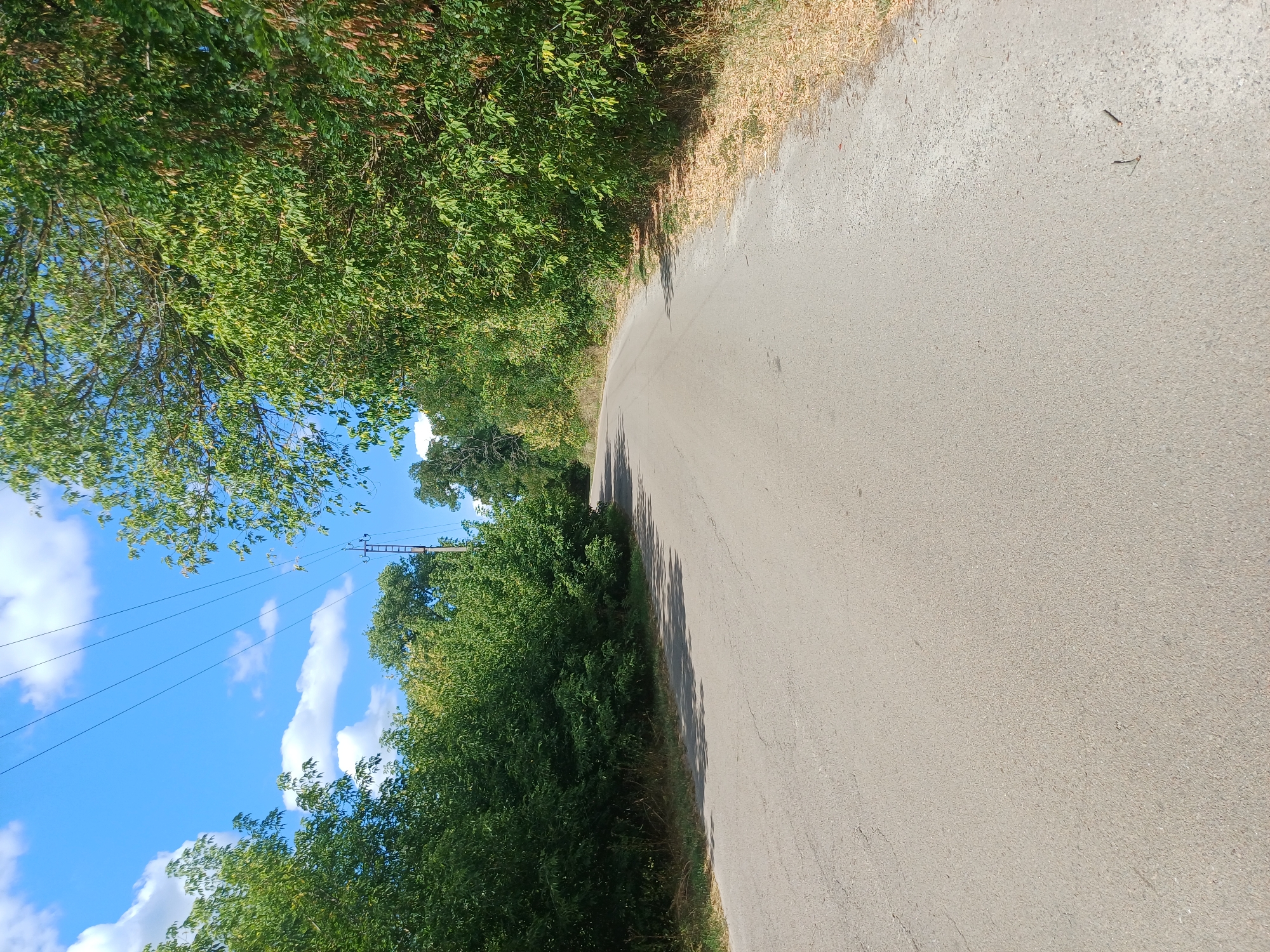 A paved, empty road curves through a sparsely vegetated area. The road surface is asphalt with visible cracks and some scattered debris. On either side of the road are dense green trees and bushes, with dry grass and fallen leaves on the ground near the edges. In the background, several utility poles with wires are visible. The sky is bright blue with scattered white clouds, indicating daylight. The image appears to be taken from a low vantage point, looking down the road. This scene is located in Sulymivka, Ukraine.