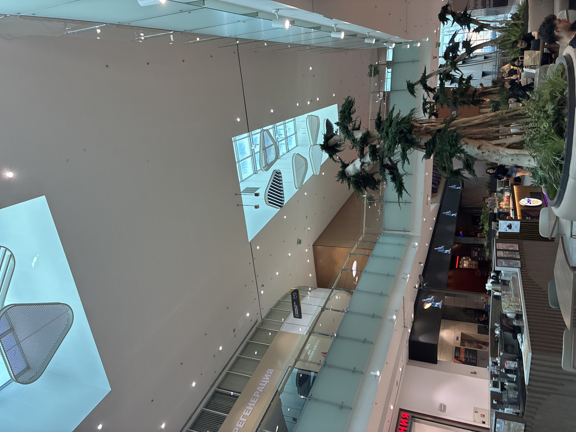 The image shows the interior of a modern shopping mall, likely Paradise Center in Sofia, Bulgaria. The scene features a multi-level interior with sleek architectural elements, including glass railings, white ceilings, and large windows or skylights that allow natural light to enter. In the foreground, there is a large decorative planter with several bonsai-like trees, which are a prominent feature of the mall's interior design.
Several people are visible throughout the mall. Some are seated at tables, suggesting a cafe or dining area, while others are walking or standing. One person is seen walking past the large planter, and groups of people are observed in the background, some interacting with each other and others appearing to be engaged with electronic devices like laptops. The lighting in the mall is a mix of natural light from above and artificial lights integrated into the ceiling and walls.
Decorative ceiling elements, possibly acoustic panels or light fixtures, are suspended from the ceiling. Signage is visible in the background, including a directional sign pointing to "PARADISE CENTER PARKING." The overall ambiance is one of a contemporary and spacious public area.