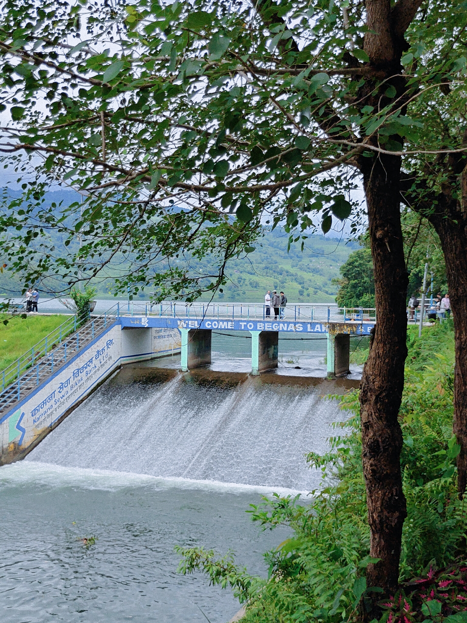The image depicts a dam at Begnas Lake in Pokhara, Nepal. The dam structure is visible, with water cascading over it into a pool below. The dam wall features signage in Nepali and English, including "Kamana Sewa Bikas Bank Ltd." and "WELCOME TO BEGNAS LAKE". Several individuals are seen standing on the walkway of the dam, observing the scenery. Lush green vegetation, including trees with prominent foliage in the foreground, surrounds the dam and the lake. In the background, rolling hills covered in green foliage are visible under a cloudy sky. The scene appears to be a tourist or recreational area.