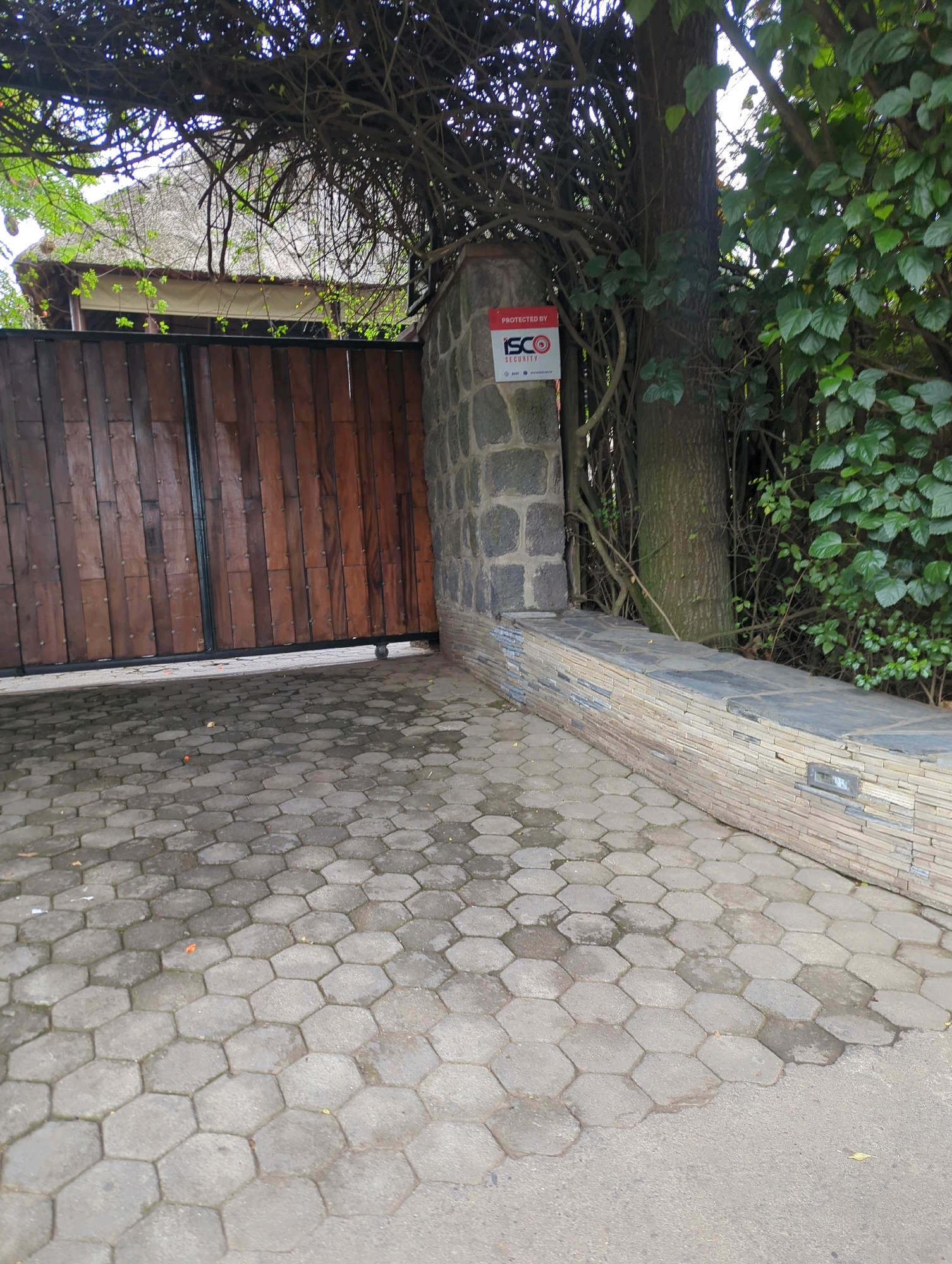 This image captures the entrance to a property in Musanze District, Rwanda. A large, rustic wooden gate, with visible vertical planks and metal accents, stands closed. To the right of the gate, a stone pillar supports a red and white security sign that reads "PROTECTED BY ISCO SECURITY". Adjacent to this pillar is a mature tree trunk, its bark rough and textured, with branches and lush green foliage encroaching on the scene. The ground in front of the gate and pillar is paved with hexagonal grey stones, some appearing wet. A low, decorative stone wall runs along the right side of the paved area, featuring a rectangular light fixture embedded in its facade. Overhanging the gate and part of the pillar is a dense canopy of branches and leaves, casting shadows and obscuring a thatched roof structure visible in the background. The overall impression is one of a secured, naturalistic entryway.
