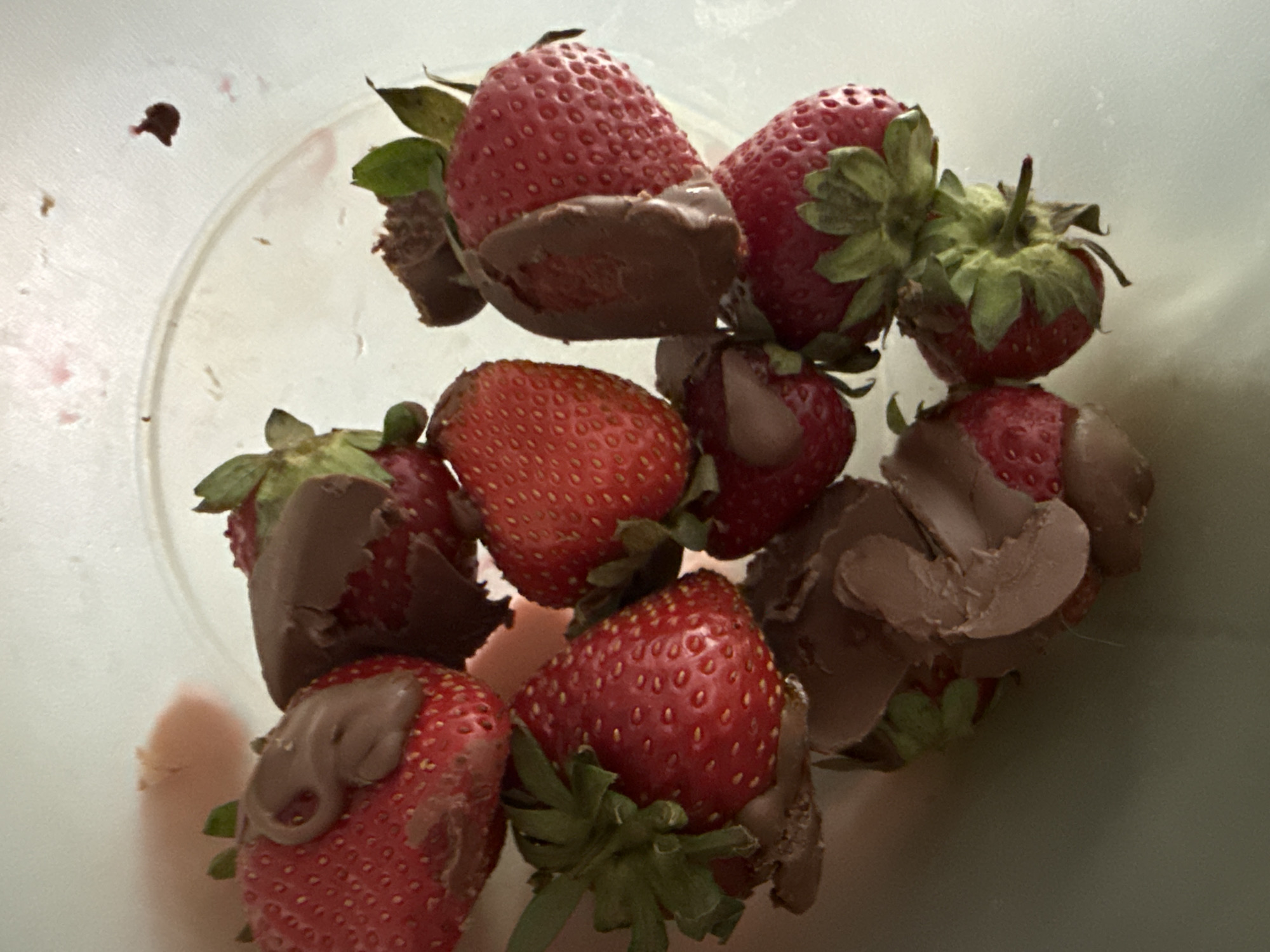 A close-up shot shows a pile of chocolate-dipped strawberries in a light-colored bowl. The strawberries are red and plump, with green leafy tops. Some are fully submerged in melted chocolate, while others are partially dipped, with the chocolate dripping down the sides. The chocolate appears to be milk chocolate, with a smooth, glossy finish. The strawberries are arranged in a haphazard fashion, creating a visually appealing mound. The background is a pale, light blue or green, suggesting an indoor setting. There are no people visible in the image. The lighting is bright, casting soft shadows on the fruit. The focus is sharp on the strawberries, making them the clear subject of the photograph. There is no visible text in the image. The scene evokes a sense of indulgence and sweetness, suggesting a dessert or treat.