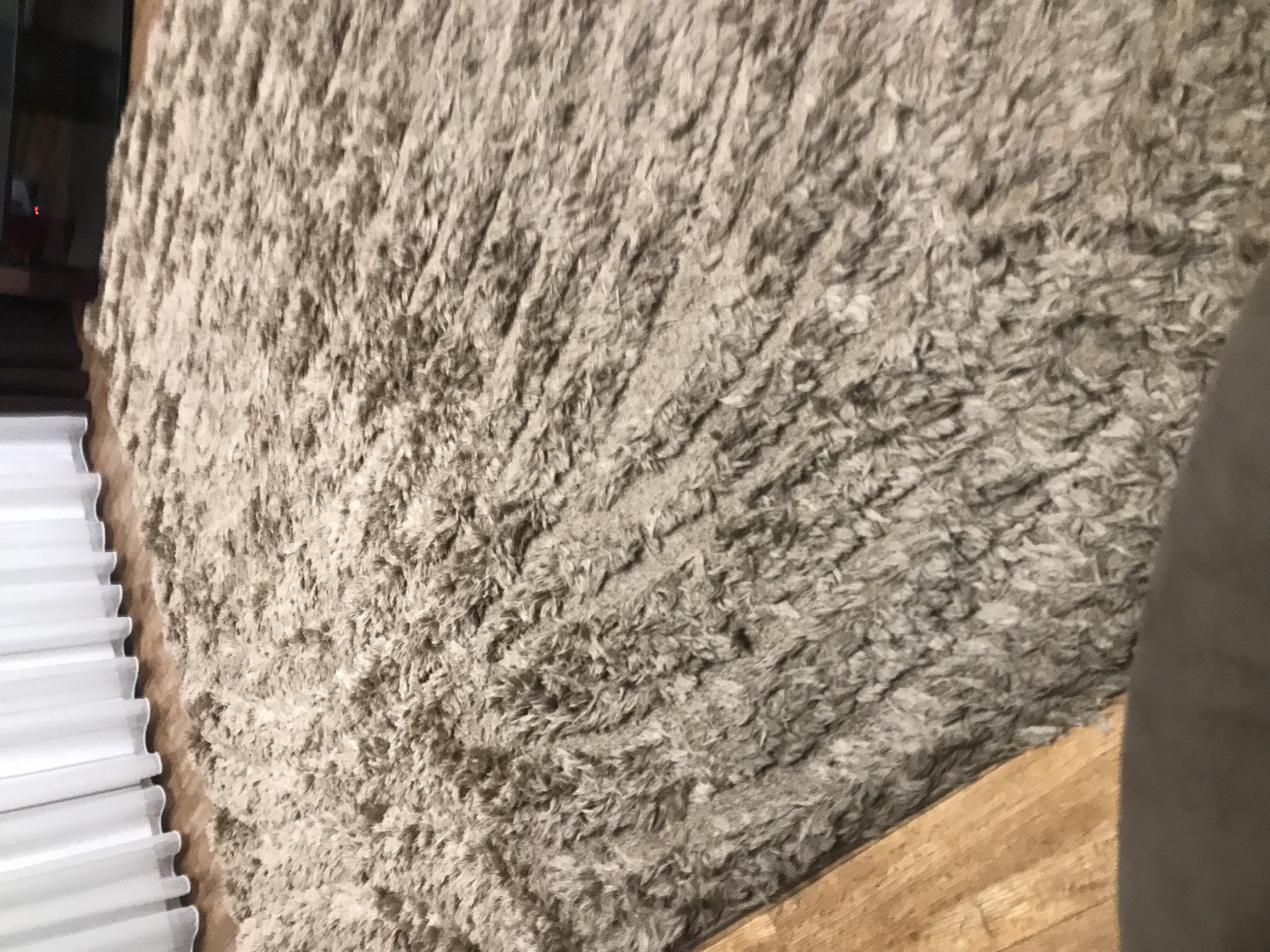 The image shows a close-up of a neutral-colored, shag-style rug. To the left of the rug are white horizontal blinds. At the bottom right corner, wooden flooring is visible. There is no evidence to suggest the location is in Yerevan, Armenia. There are no people or interactions present in the image.