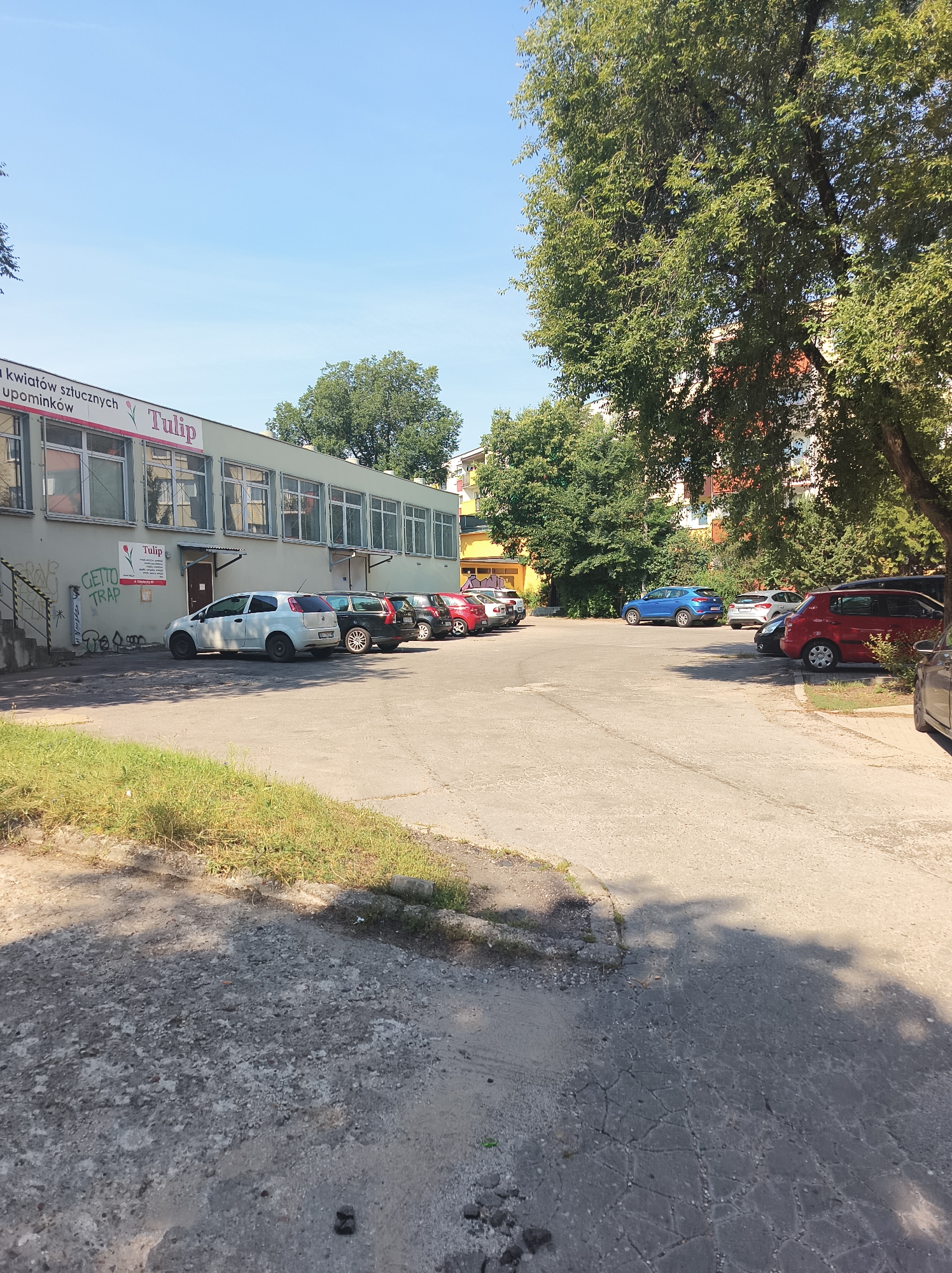 The image depicts a parking lot in front of a building in Białystok, Poland, on a sunny day. The building, likely a commercial establishment, has a light-colored facade with large windows and features a prominent "Tulip" sign, suggesting it may be a flower shop or gift shop. Several cars are parked in the lot, including a white Fiat, a dark-colored SUV, a red hatchback, and a blue hatchback. Some of these vehicles are parked in designated spots, while others are more haphazardly positioned. The parking lot surface appears to be asphalt, with some areas showing signs of wear and cracking. Lush green trees with dense foliage surround the building and parking lot, providing shade and a natural backdrop. The sky is clear and blue, indicating good weather conditions. Graffiti is visible on a wall to the left of the building's entrance. The scene is devoid of any visible people.