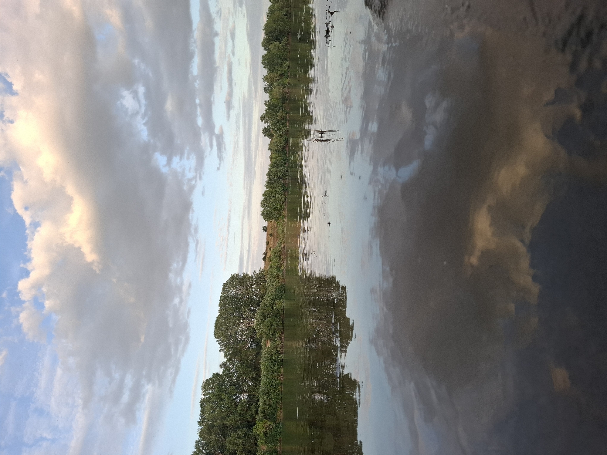 The image shows a tranquil river scene at dusk in Dubăsarii Vechi, Moldova. The river's surface reflects the sky, which is filled with dramatic clouds illuminated by the setting sun. On the far bank of the river, a dense line of trees and vegetation stretches across the horizon. The water appears calm, with ripples suggesting a gentle current. Some dead branches or reeds protrude from the water's surface in the mid-ground. The overall atmosphere is serene and natural.