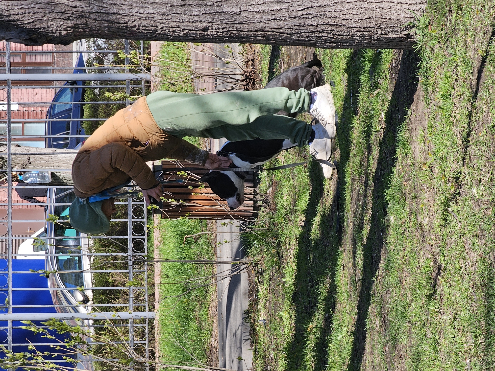 A person in a brown jacket, green pants, and white shoes is sitting on a park bench in Khimki, Russia. They are holding the leash of a black and white dog. A second dog, black, is behind the bench. A metal fence separates the park from the street, where cars and buildings are visible. A large tree is in the foreground. Sunlight is casting shadows on the grass.