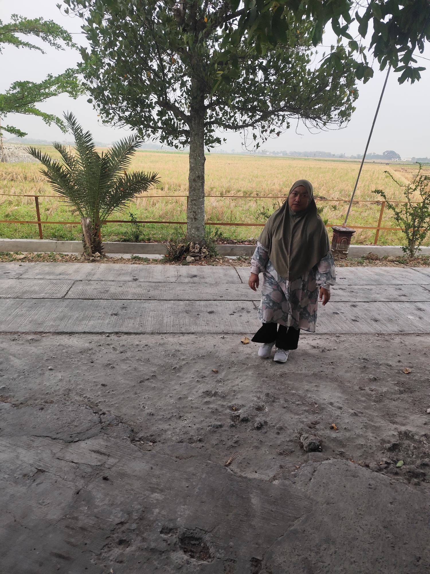 A woman stands on a cracked concrete path in front of a dry, grassy field. She is wearing a green hijab, a patterned dress, and black pants. A palm tree is to her left, and a larger tree is behind her. The scene appears to be in Purwodadi, Indonesia.
