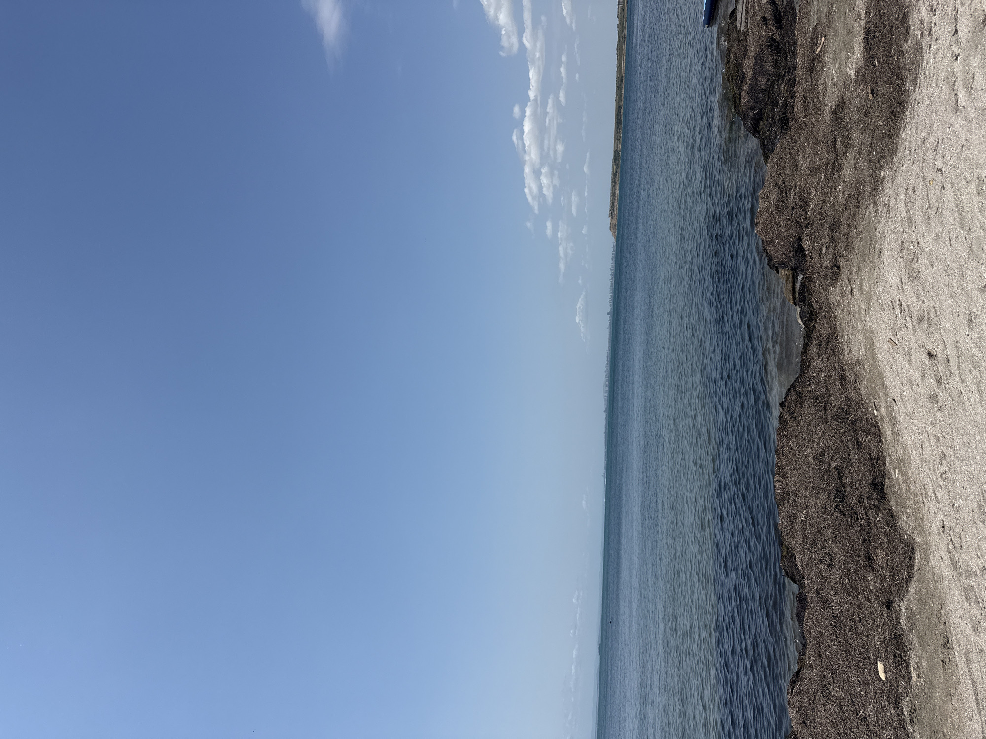 The image depicts a coastal scene with a clear blue sky and calm, dark blue water. In the foreground, a beach is visible, covered with sand and a large accumulation of dark seaweed. The water extends to the horizon, where a distant city skyline is faintly visible. The environment appears to be a natural coastal area, likely a beach or shoreline, near the city of Pomorie, Bulgaria. There are no people or animals visible in the image.