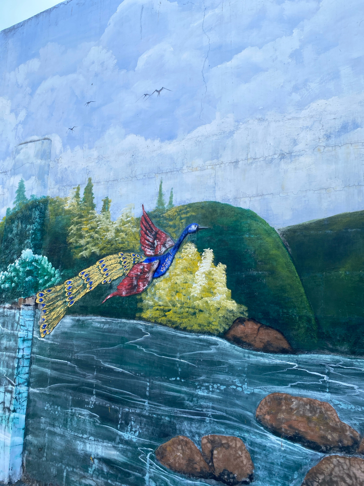 This is a mural painted on a concrete wall in Mangunrejo, Indonesia. The mural depicts a fantastical scene with a peacock-like bird in flight over a body of water. The bird has blue, red, and yellow plumage, with a long, feathery tail. Behind the bird, there are lush green hills covered with trees. A waterfall is visible on the left side of the mural, flowing into the water. The sky above is painted with clouds and a few small birds. The wall itself shows signs of age and cracking, contributing to the weathered appearance of the mural. The mural is located in the city of Mangunrejo, Indonesia.
