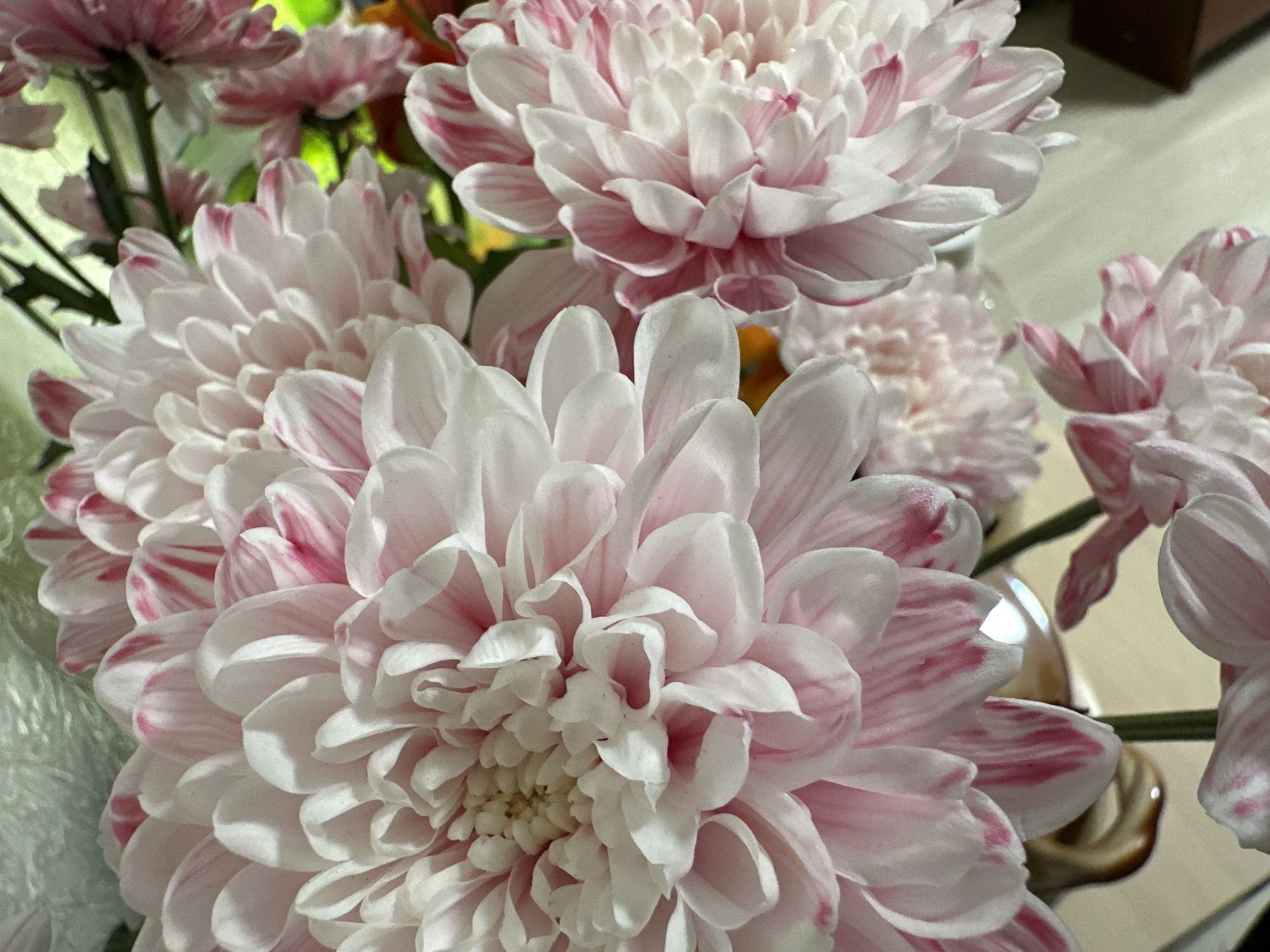 The image shows a close-up of a bouquet of pink and white chrysanthemum flowers. The flowers are in full bloom with many petals, and the pink color appears as stripes or edges on the white petals. The background is blurred, suggesting the presence of other objects or flowers. The location, Uva, Russia, is not discernible from the image.