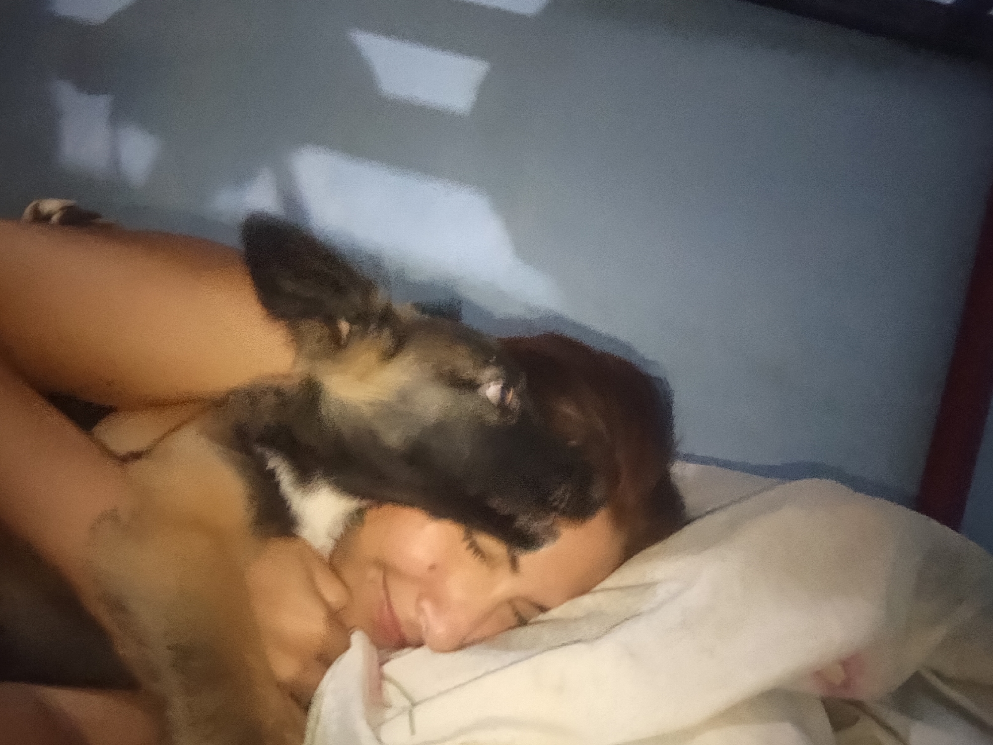 A woman is lying in bed with a German Shepherd puppy. The puppy is on top of her, nuzzling her face. The woman has her eyes closed and appears to be relaxed. The scene appears to be indoors. I do not have access to enough information to determine the location as Juan Griego, Venezuela.