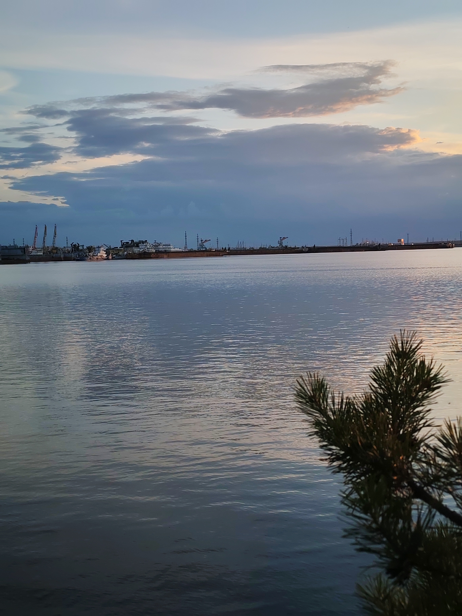 The image depicts a serene waterfront scene in Chaikovsky, Russia, likely during twilight given the soft lighting and diffused clouds. The foreground is dominated by the calm, reflective surface of a body of water, possibly the Kama River. Ripples gently disturb the otherwise smooth surface, catching the muted light. To the far right, a pine branch with its characteristic needles juts into the frame, adding a natural element to the industrial backdrop.
In the mid-ground, a line of ships and industrial structures stretches across the horizon. Cranes, characteristic of a port or industrial facility, are visible, as are several large vessels, suggesting a working harbor. The distant shoreline is dotted with more industrial silhouettes, including what appear to be power lines or transmission towers.
The sky above is a canvas of soft blues and grays, with streaks of pale pink and orange where the last light of the sun interacts with the clouds. These clouds are varied, with some appearing wispy and others more dense, creating a textured and atmospheric sky. No people are visible in the frame. The overall impression is one of quiet industrial activity juxtaposed with the natural beauty of the waterfront at dusk.