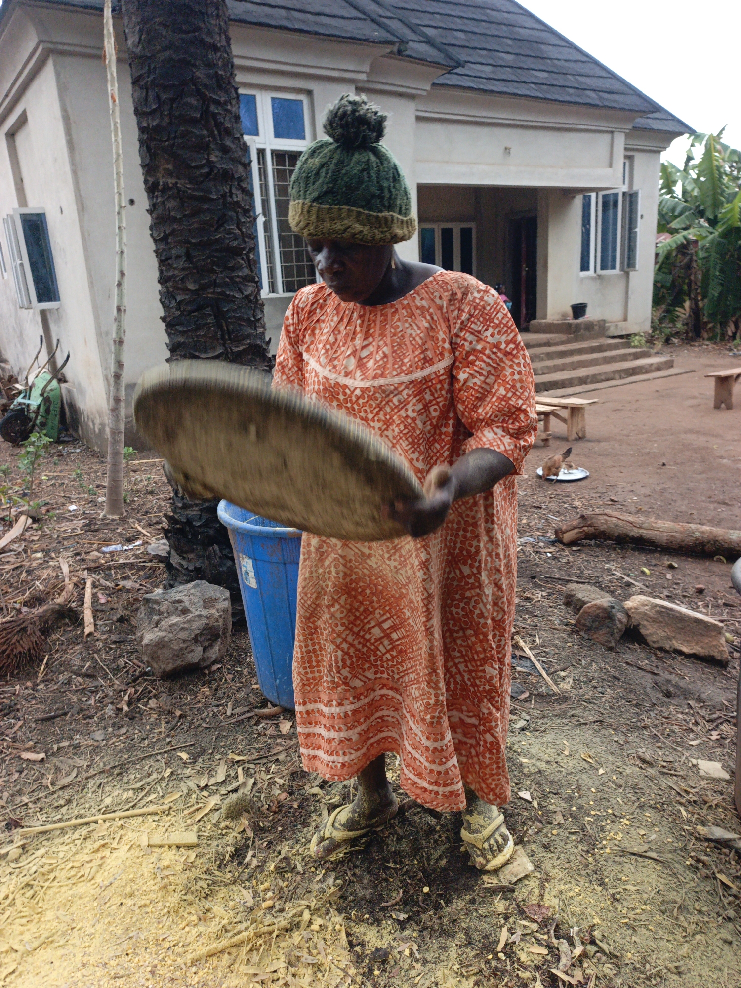 In Akwanga, Nigeria, an adult woman dressed in an orange patterned dress and a green knit cap stands outside a one-story, white stucco house with a gray roof. She is holding a large, round winnowing basket or tray in front of her, and what appears to be ground grain or flour is scattered on the ground around her feet. A blue plastic barrel sits nearby. A large, textured tree trunk is visible behind her, and a bench sits on the porch of the house. A small chicken is eating from a metal plate in the distance. The environment appears to be a yard with dirt and debris on the ground.