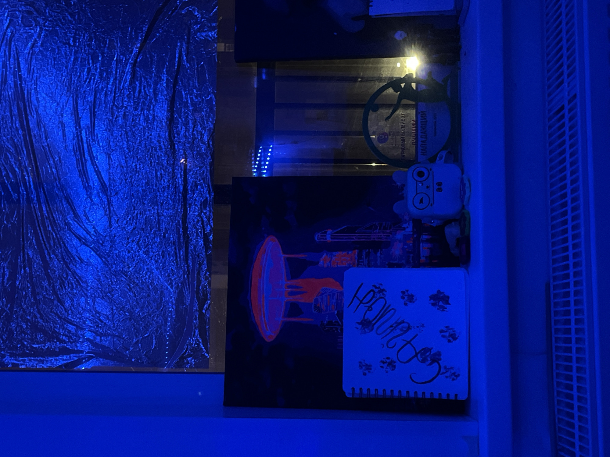 The image depicts a room interior illuminated with a strong blue light. On the left, there is a reflective surface, possibly a draped metallic fabric or foil. In the center, there's a painting in black with an orange-red circular element and other abstracted shapes. A white notebook with scribbled words and paw prints sits in front of the painting. To the right of these items, there is a disc with a sports figure and inscription and a small plush toy. Further to the right is a white vertical object with gridded texture. There is no information in the image to suggest a specific location in Saint Petersburg, Russia.