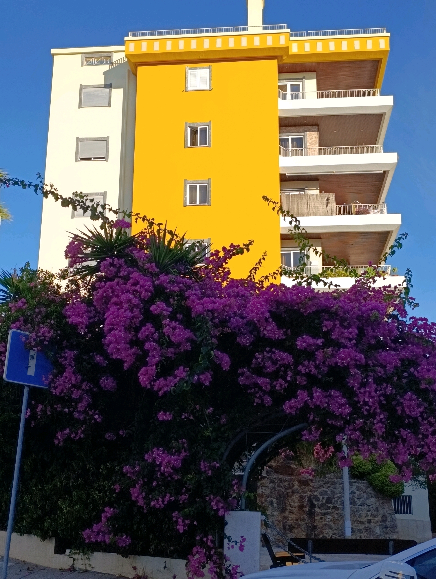 The image depicts a modern apartment building with a bright yellow section juxtaposed against a cream-colored section. The building has multiple balconies with white railings and wooden ceilings. The foreground is dominated by a lush, vibrant bougainvillea bush covered in dense purple flowers, obscuring much of the lower portion of the building and a nearby street sign. The sky is a clear, deep blue. The scene appears to be a sunny day in a residential area, possibly in Setúbal, Portugal, given the architectural style and the presence of bougainvillea, which are common in Mediterranean climates. There are no people or animals visible in the image.
