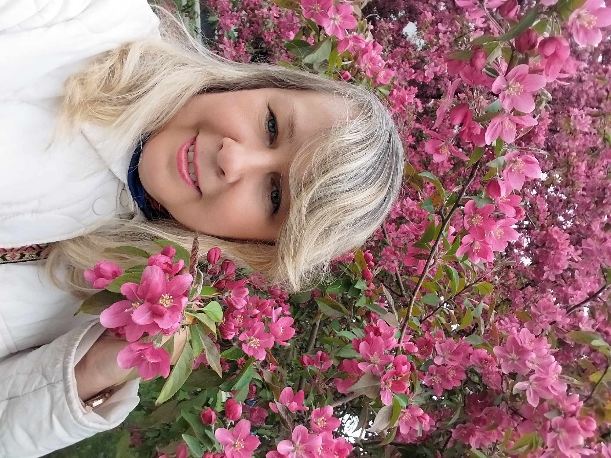 A woman is holding a branch of pink blossoming tree in Orenburg, Russia. She has blond hair and is wearing a white jacket. The background is filled with pink flowers.