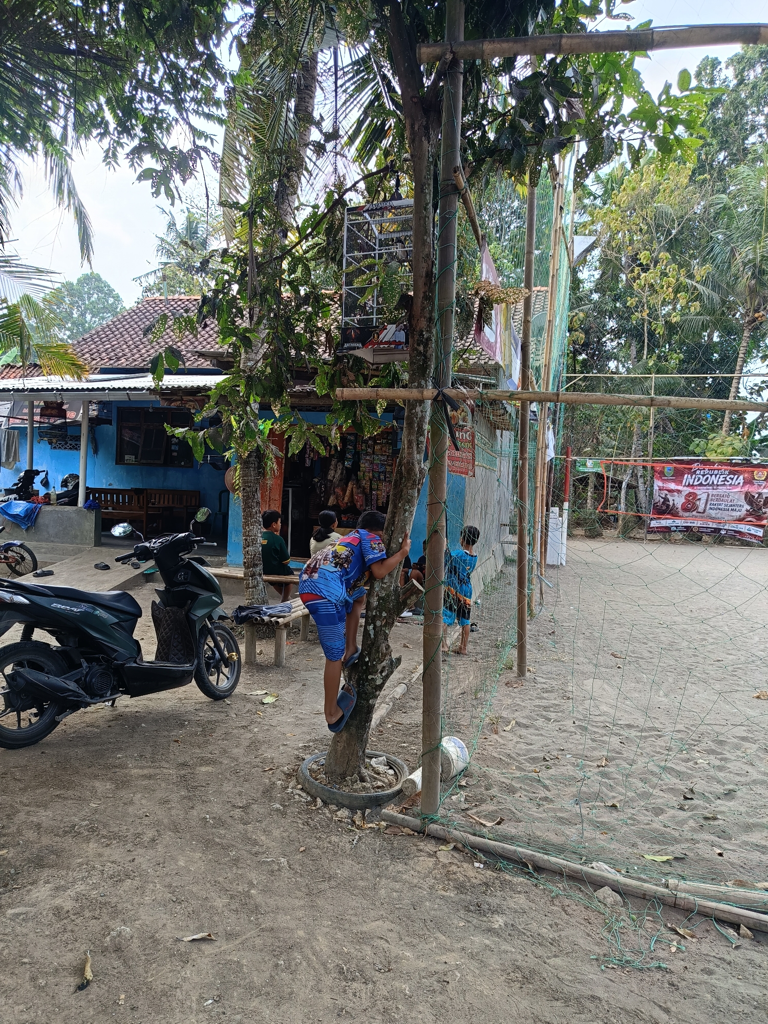 The image depicts a sandy area in Buayan, Indonesia, likely near a beach or sports court, with a building in the background. A young boy, wearing blue shorts with a patterned design and a blue t-shirt, is climbing a tree in the foreground. He is barefoot. To his left, another boy in a green shirt and another child, partially obscured, are seated on a wooden bench. In front of the building, there is a black scooter parked. The building itself is painted blue and appears to be a small shop or roadside stall, with shelves stocked with goods visible through an open doorway. A volleyball net, supported by bamboo poles, stretches across the scene. In the background, a banner with "REPUBLIK INDONESIA" and "81" is visible, suggesting a celebration or event. The environment is characterized by dirt and sand, with various trees and foliage, indicating a tropical or subtropical setting.