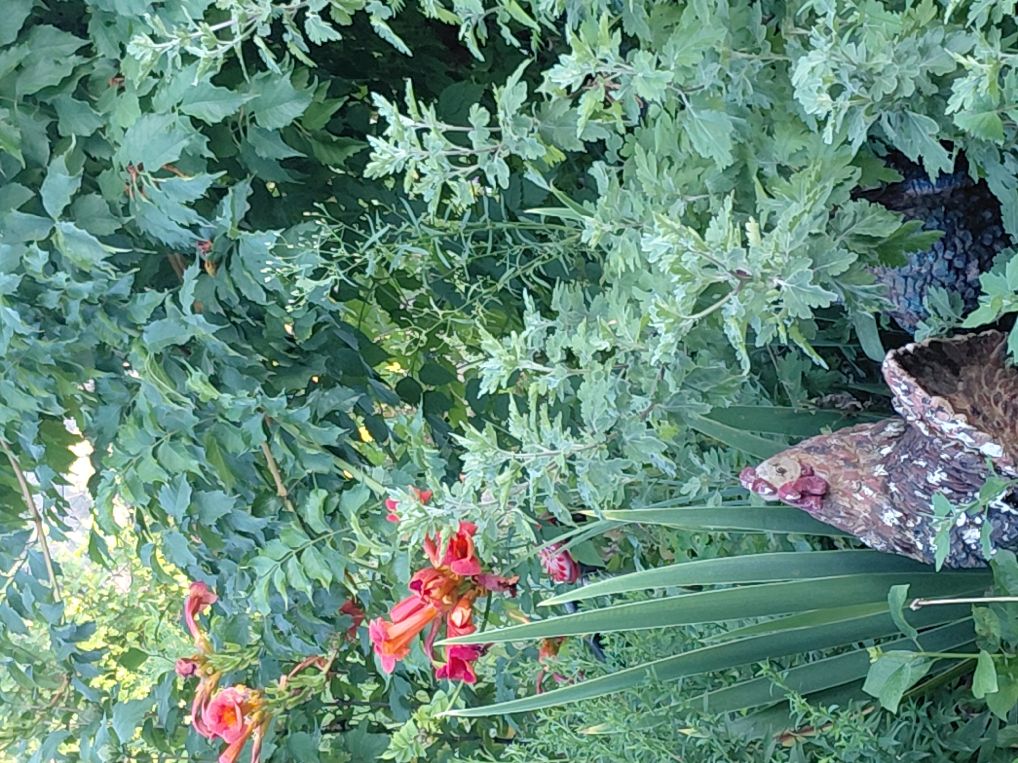 A medium shot shows a decorative garden hen nestled amongst lush green foliage. The hen, primarily brown and white, is positioned in the lower left quadrant of the frame, partially obscured by tall, blade-like green leaves. Behind it, a cluster of trumpet-shaped orange and pink flowers are in bloom. The background is filled with dense green leaves of various shapes and sizes, suggesting a natural or cultivated garden setting. The lighting appears to be natural daylight, with some areas in shadow and others illuminated. The scene is static and peaceful, with no visible human presence or activity.