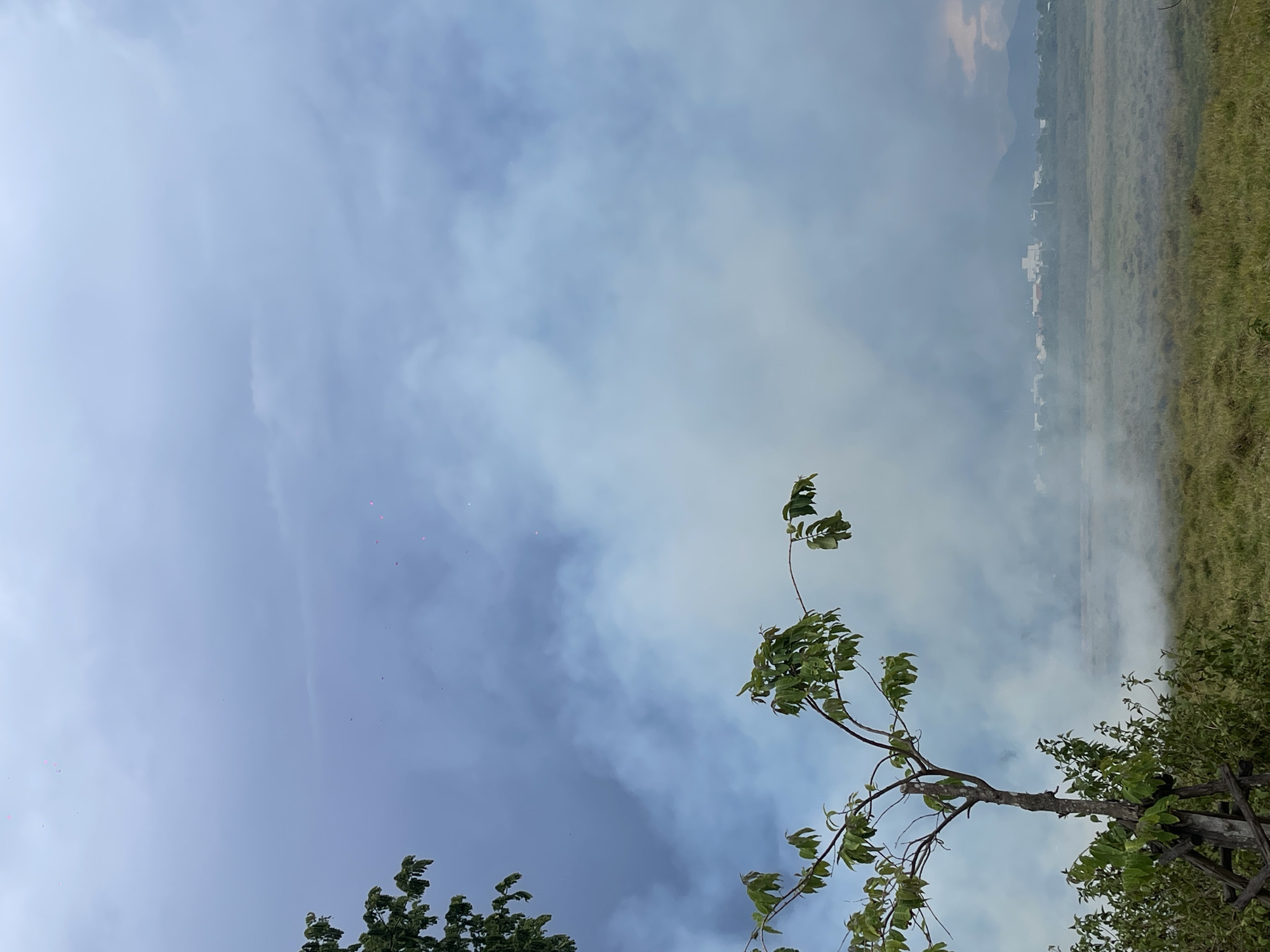 The image depicts a hazy landscape, likely a field or rural area, with a small tree in the foreground. A significant amount of smoke or fog drifts across the scene, obscuring the middle ground and creating a muted atmosphere. In the distance, a cluster of buildings is visible, suggesting a town or settlement. The sky is overcast, with varying shades of gray and blue, and there are small, bright pink specks scattered across the upper portion, possibly indicating distant lights or debris. The overall impression is one of a somewhat diffused and mysterious environment, with the smoke creating an atmospheric effect. The vegetation in the foreground appears green and somewhat wild.