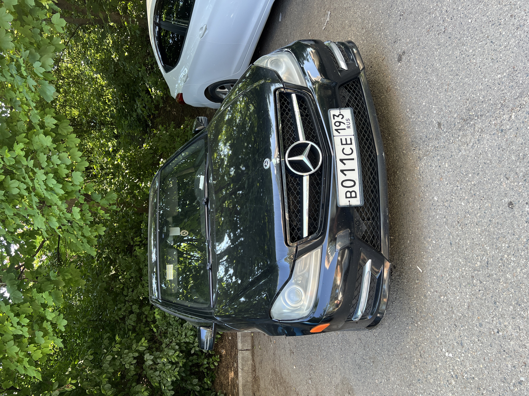 A black Mercedes-Benz C-Class sedan (W204 generation) is parked on a coarse-grained asphalt surface, facing the viewer. Its front Russian license plate, B011CE 193 RUS, is clearly visible, indicating registration in the Krasnodar Krai, Russia. A Mercedes-Benz branded air freshener hangs from the interior rearview mirror. To the right and slightly behind the Mercedes-Benz, the rear portion of a white sedan, identified as a Hyundai Elantra, is partially visible. The background features dense, vibrant green foliage from trees and bushes, with sunlight filtering through the leaves. A concrete curb runs along the left side of the Mercedes-Benz. A single white cigarette butt is present on the asphalt directly in front of the Mercedes-Benz's bumper. The scene is illuminated by natural daylight, characteristic of an outdoor setting within the city of Krasnodar, Russia.