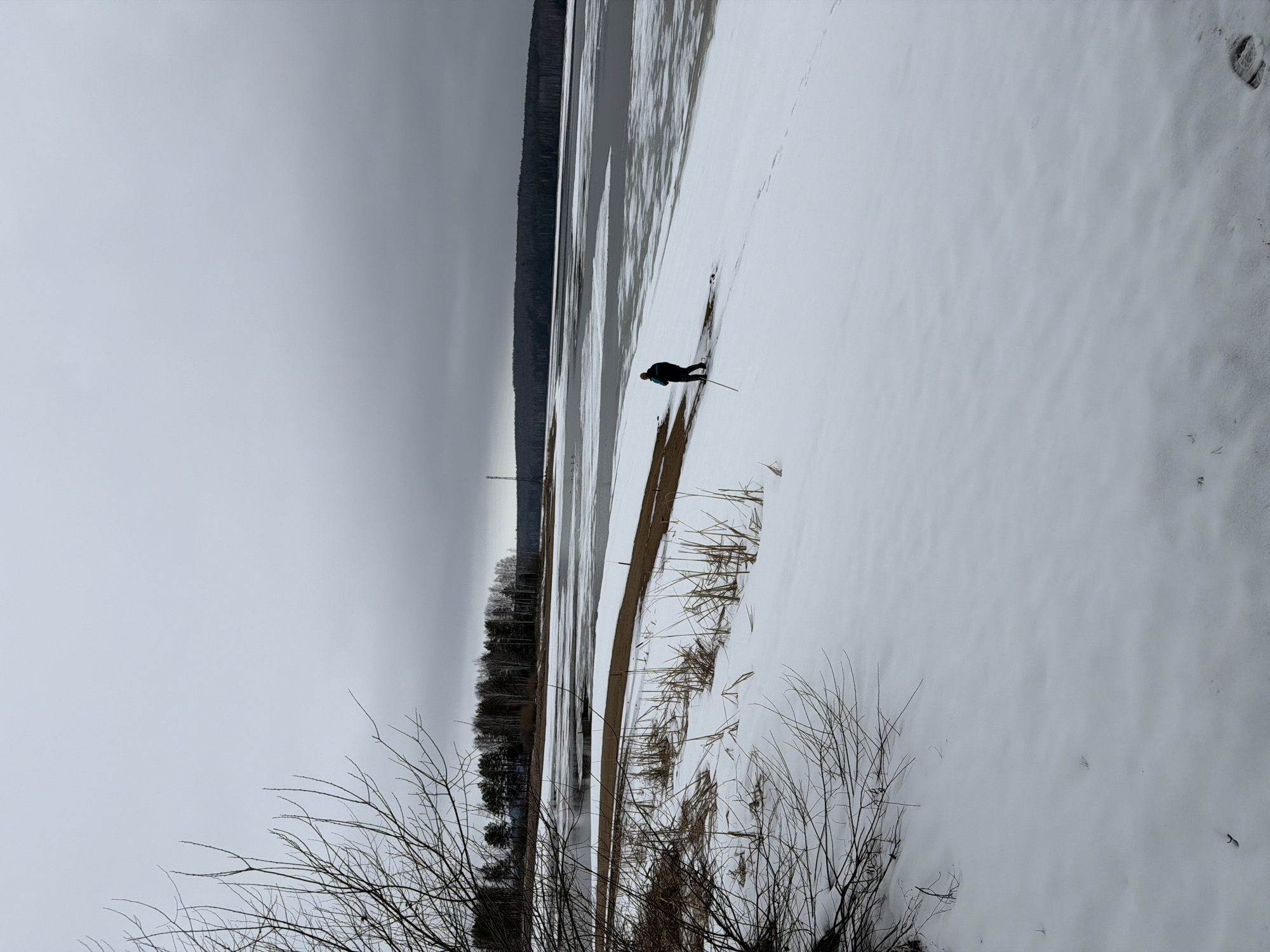 The image depicts a winter landscape, likely a frozen body of water covered in snow, near a shoreline. The sky is overcast, creating a flat, grey light. In the middle ground, a lone figure, possibly human, is standing on the ice near the edge of the frozen lake. The figure is dressed in dark clothing and appears to be holding a long object, possibly a walking stick or tool. The background features a strip of trees along the far shore. In the foreground, there is bare brush and some patches of brown grass or reeds emerging from the snow. The scene suggests a cold, possibly desolate, environment. Considering the information given, the location is somewhere in the vicinity of the city of Chaykovsky, Russia.